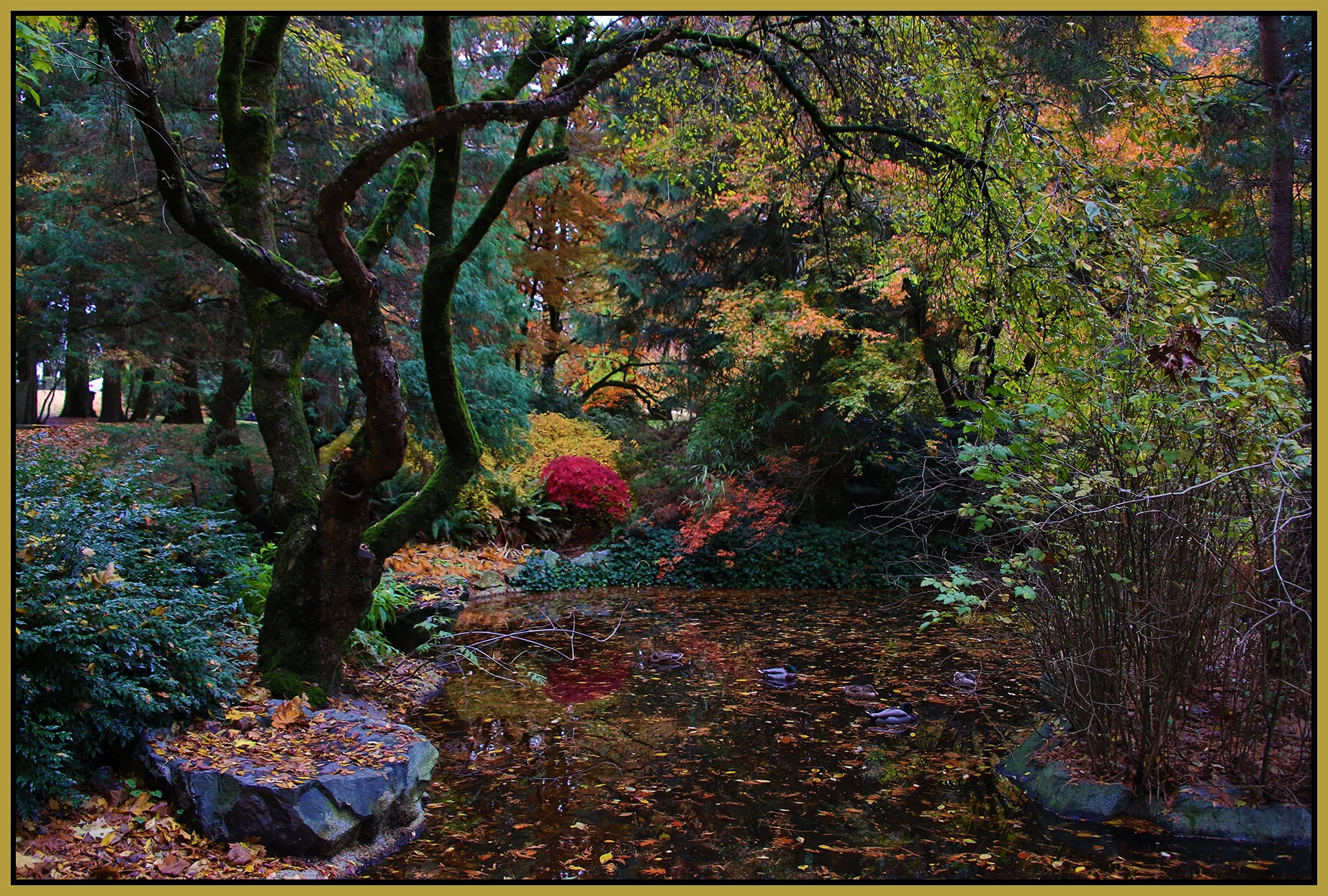 Tipperary Pk New West_Nov 11_2020_HDR_3B5301_4x6s.jpg