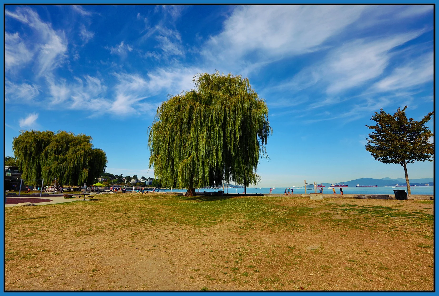 Kits Beach Trees_Aug 25_2021_HDR_5A9792_pePop_4x6s.jpg