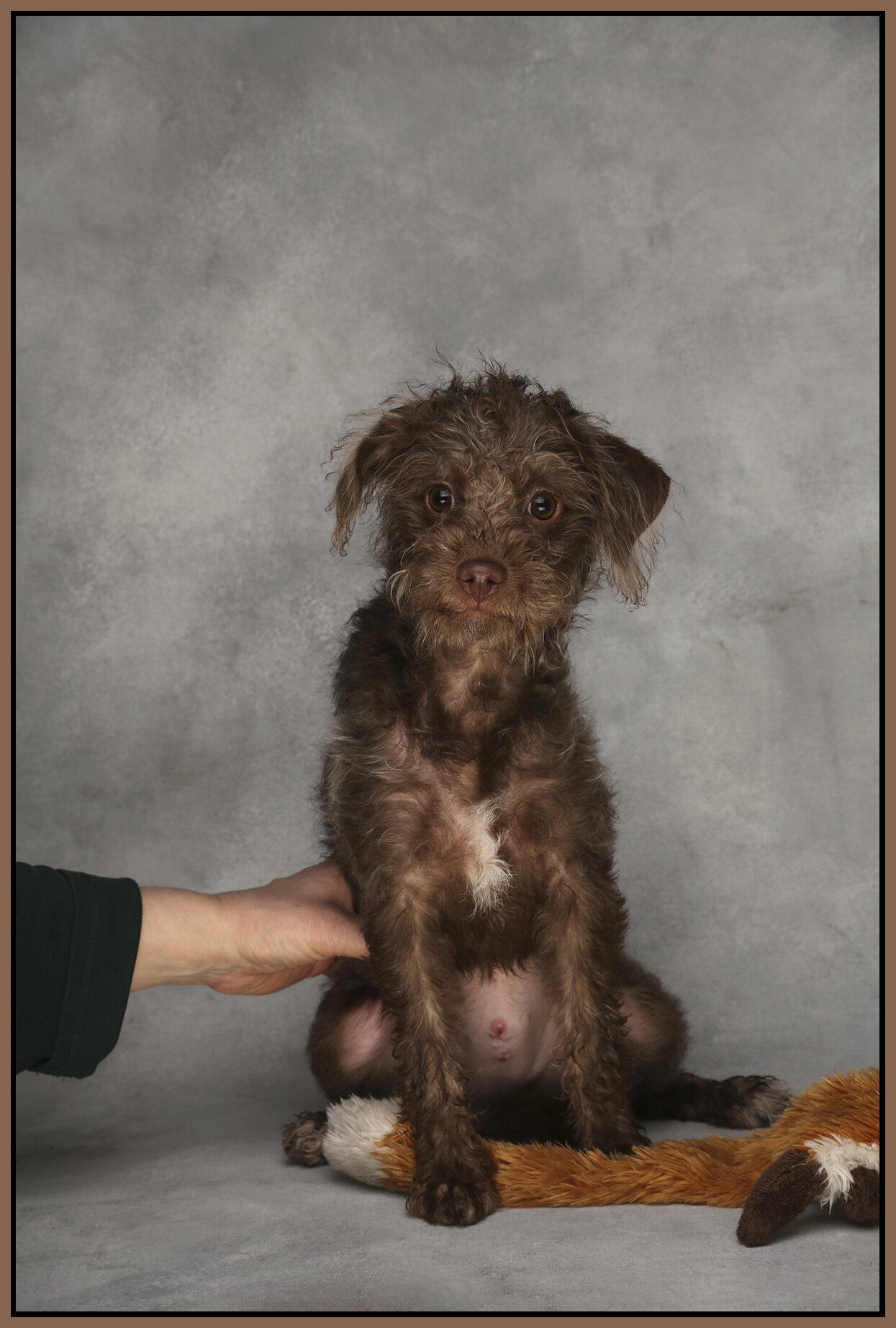 Frances_Feb 14_2015_F0494_4x6s.jpg