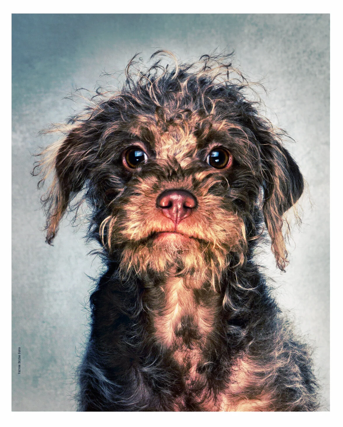 Frances Stewart_Feb 14_2015_F0496_peLasVegas_4x5s.jpg