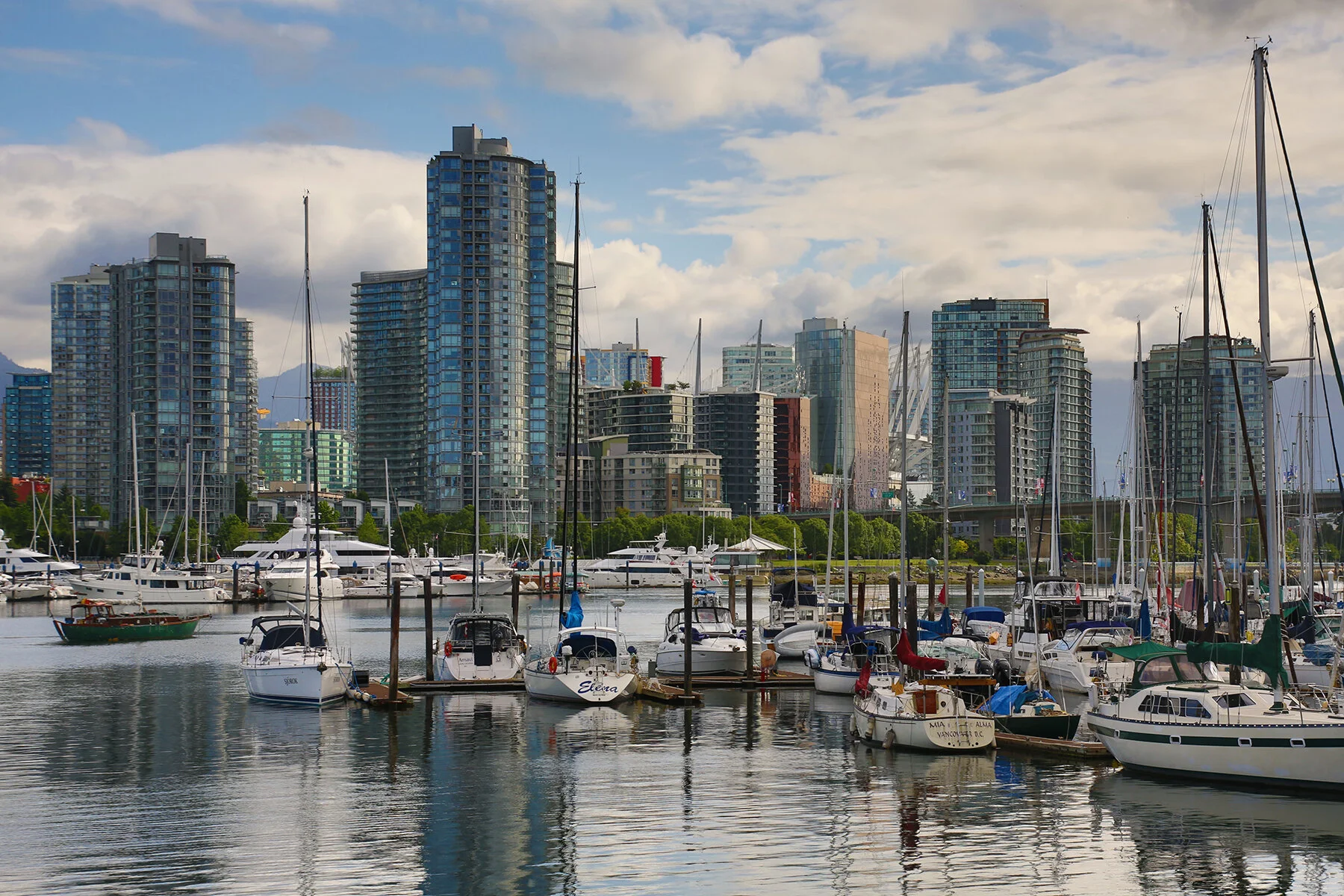 1.7 View_False Creek Boats_Jun 3_2019_HDR_A5925_4x6.jpg