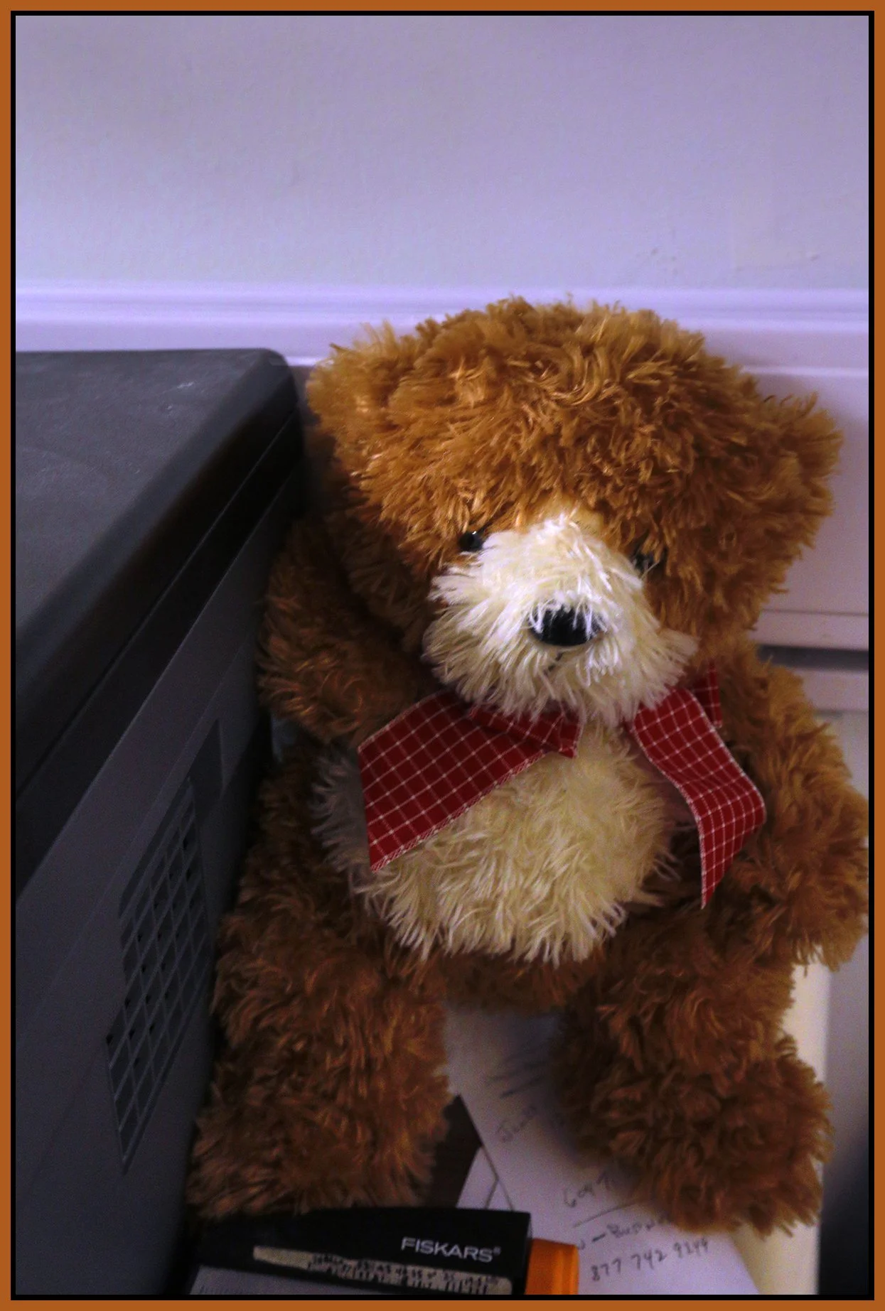 Tessa'a Teddy Bear_Sep 15_2026_HDR_4L2896_4x6s.jpg