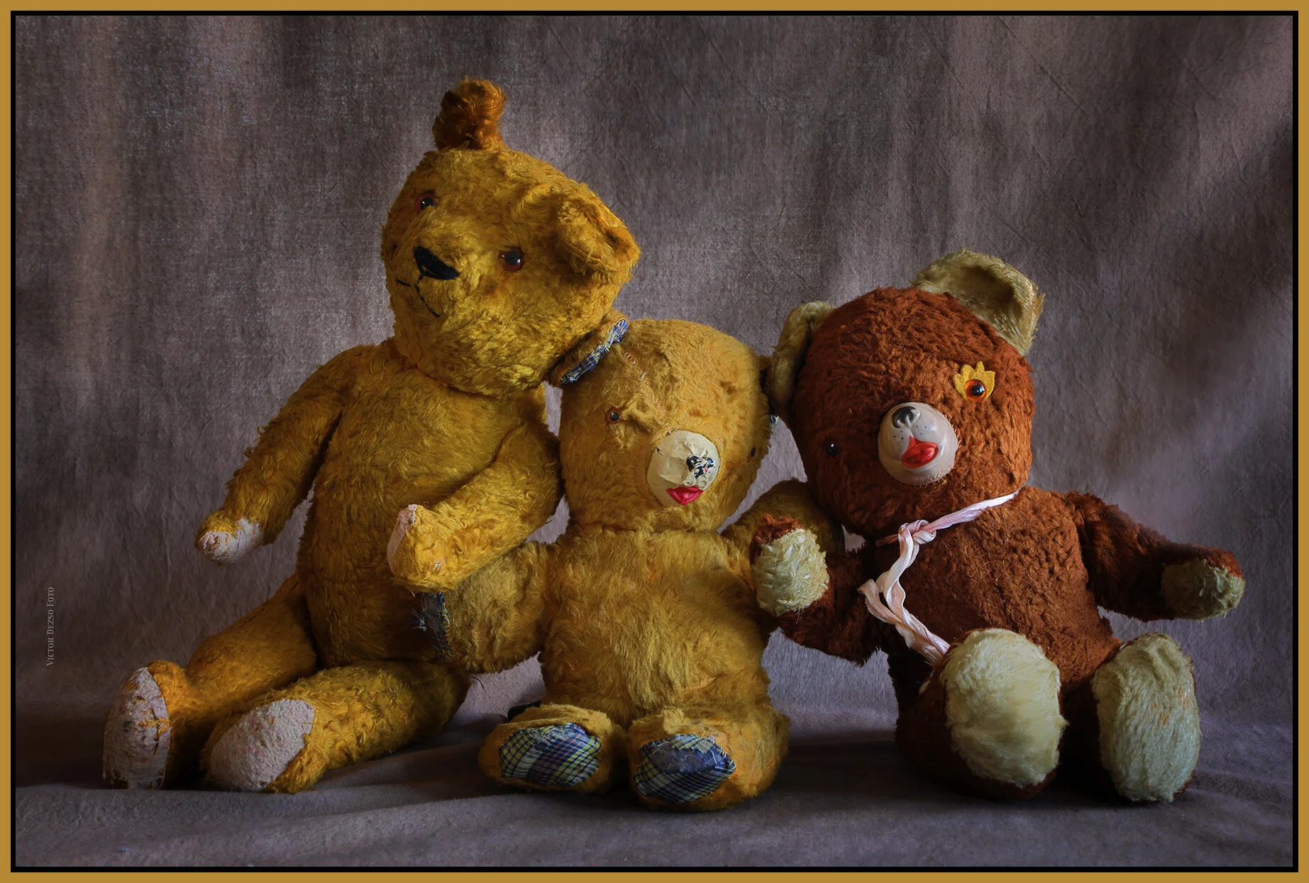 Barbara's Teddy Bears_Aug 5_2020_HDR_4F8497_4x6s.jpg