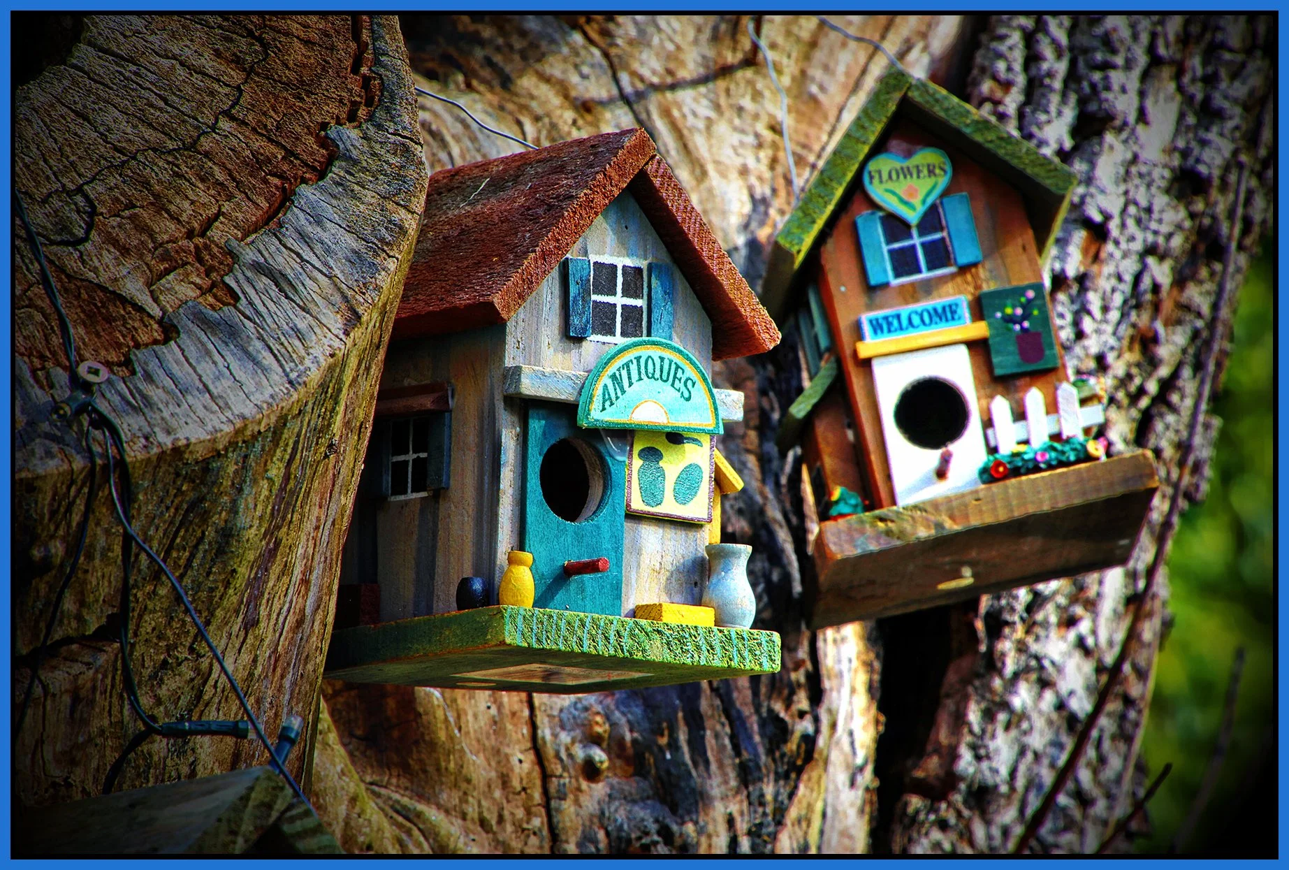 580 Heatley St Tree Houses_May 3_2024_HDR_4H7565_peTiffanyIntnseDetail_4x6s.jpg