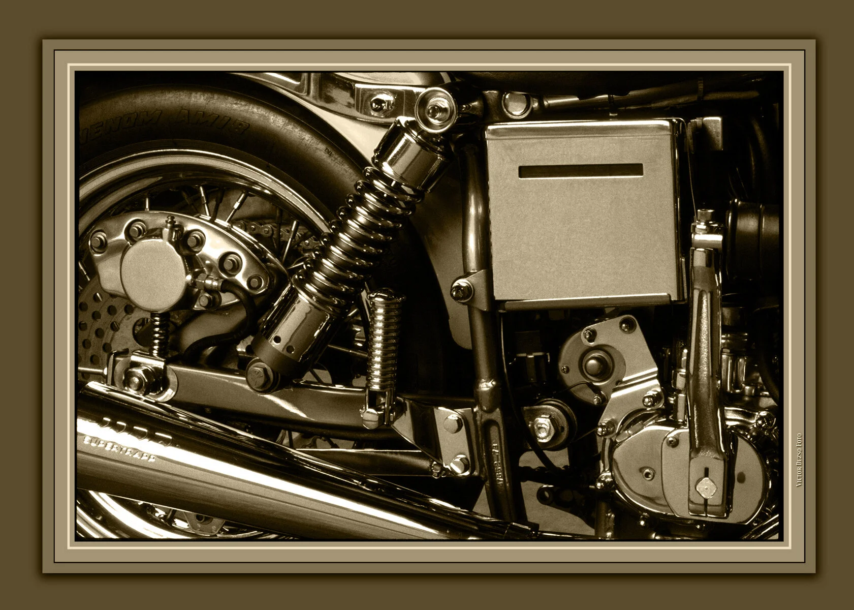 Harley_2_Sepia4x6s.jpg