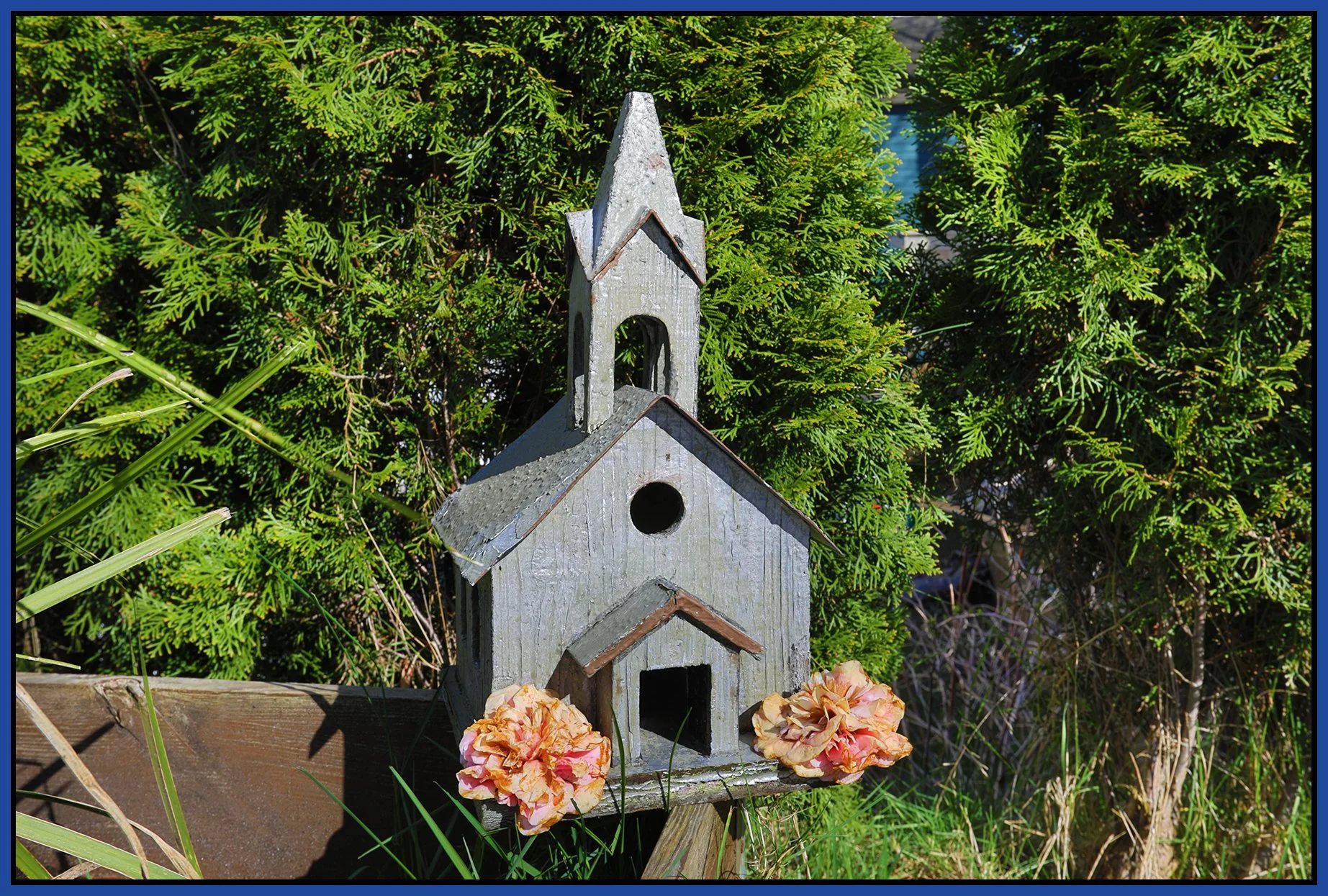 580 Heatley Tree House_Mar 25_2026_HDR_4L0276_4x6s.jpg