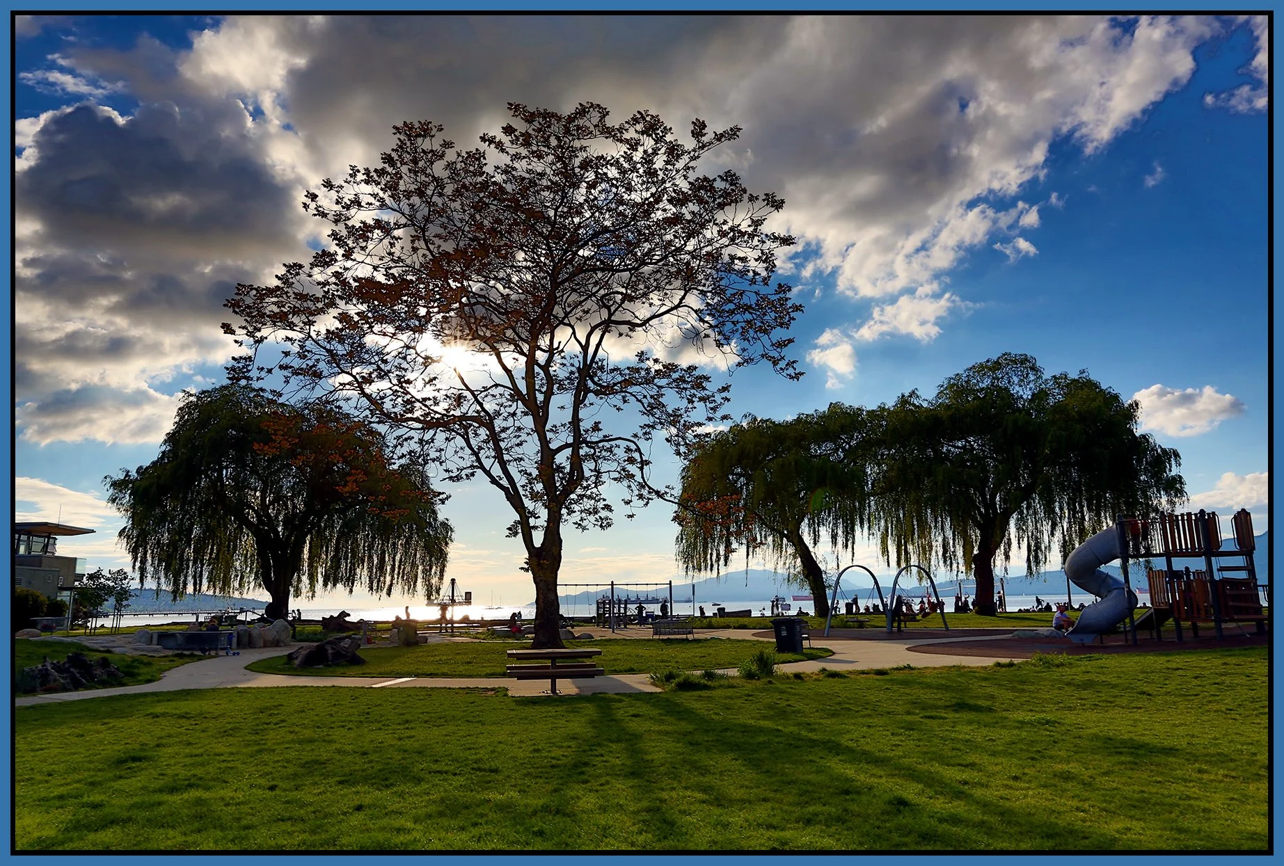 Kits Beach Trees_May 25_2013_HDR_A2240_4x6s.jpg