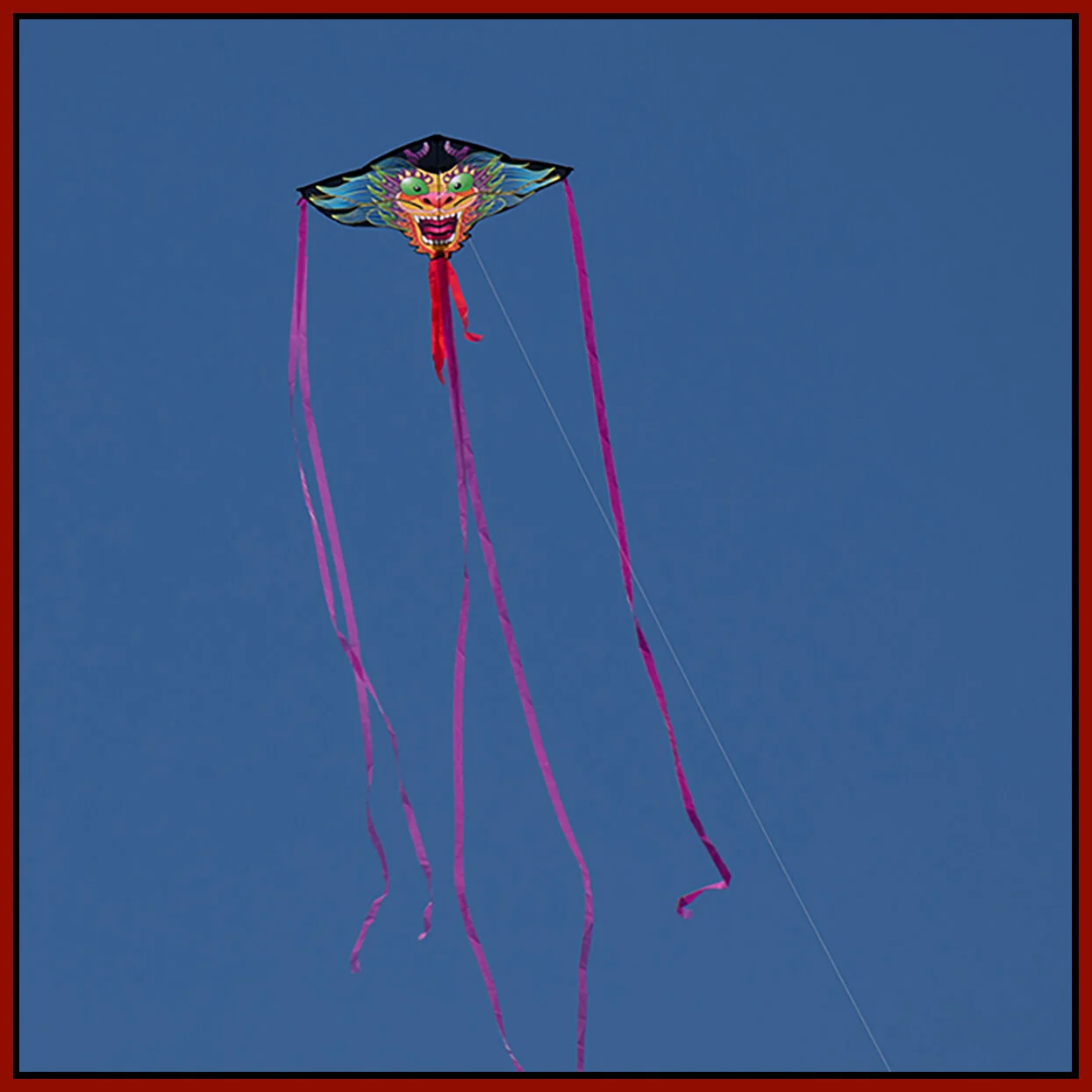 Kite in New Westminster_Sep 17_2018_CR2_D9813_4x4s.jpg