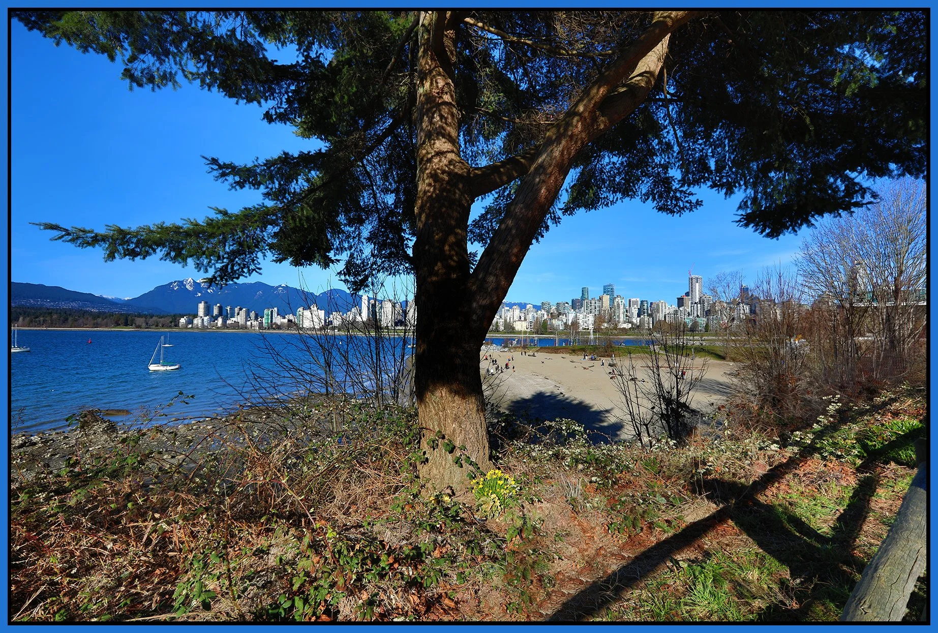 Vancouver from Kits_Mar 15_2024_HDR_4H5004_4x6s.jpg