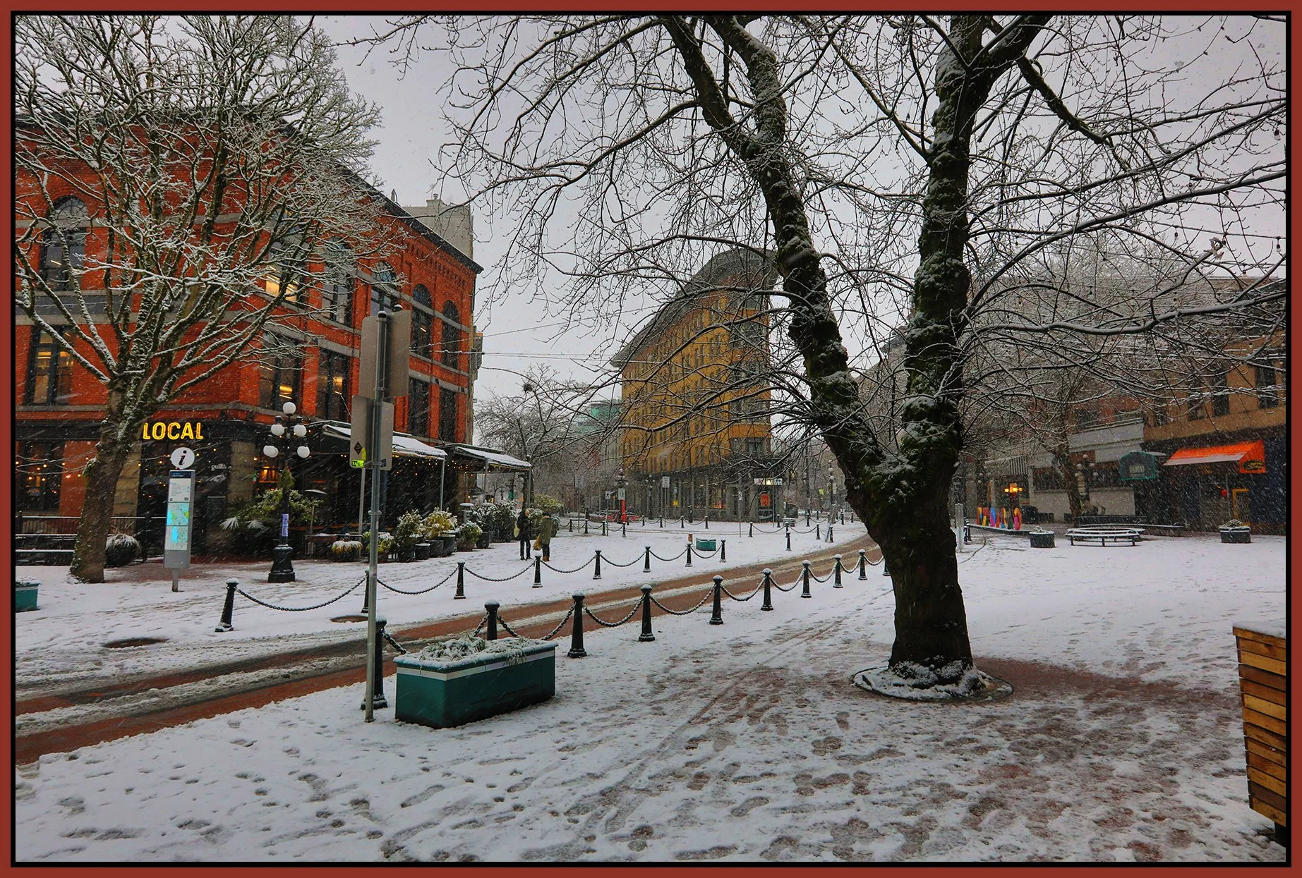 Gastown Maple Tree Square_Feb 2_2025_HDR_5E9132_peVibrClrs_4x6s.jpg