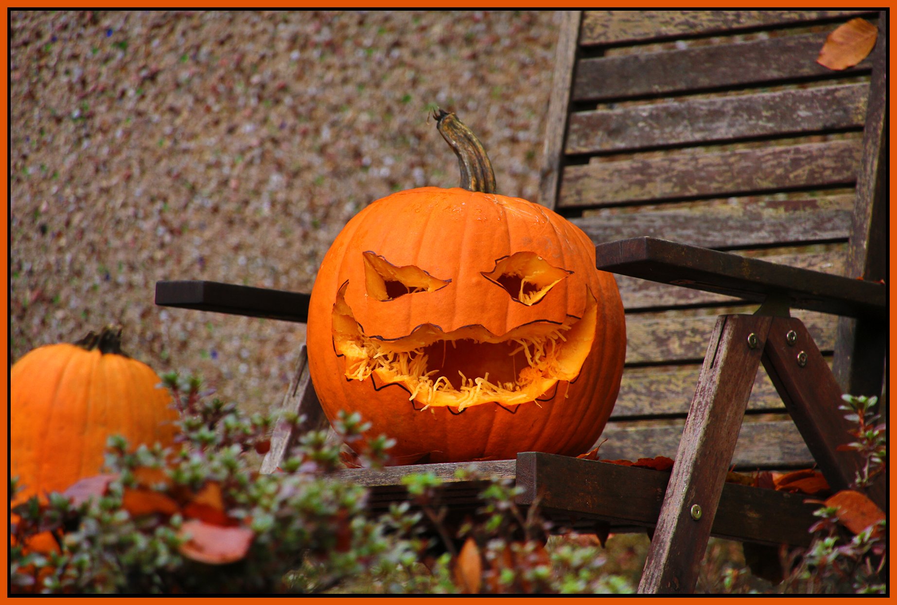 Pumpkin_Nov 2_2015_HDR_FH9517_4x6s.jpg