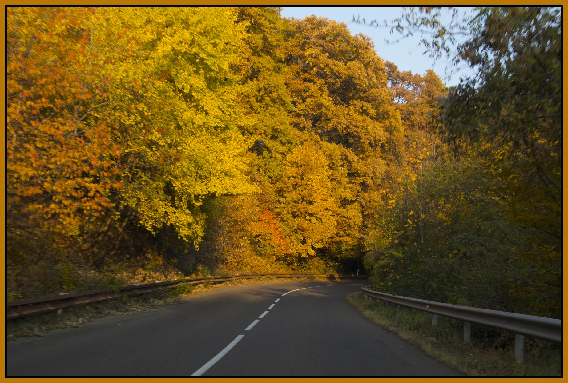 Mátra_Nov 1_2011_9574_4x6s.jpg