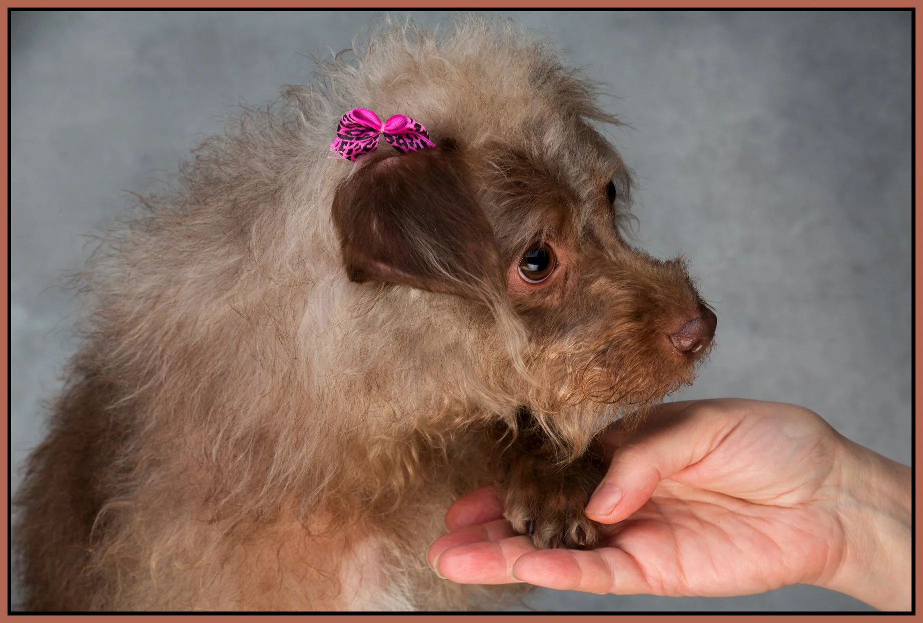 Frances_Feb 12_2016_K3445_4x6s.jpg