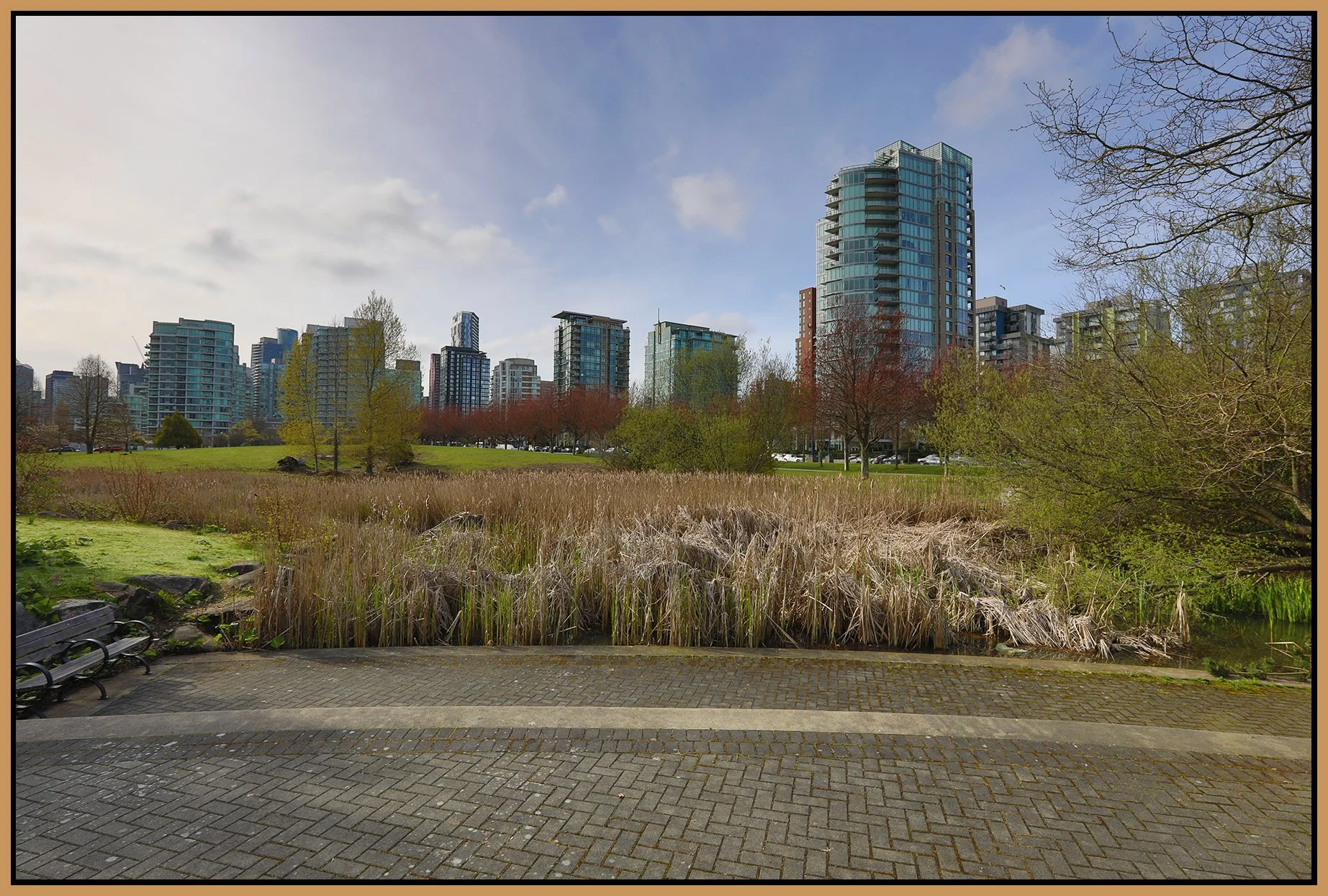 Devonian Pk Bullrushes_Apr 25_2023_HDR_5D7658_4x6s.jpg