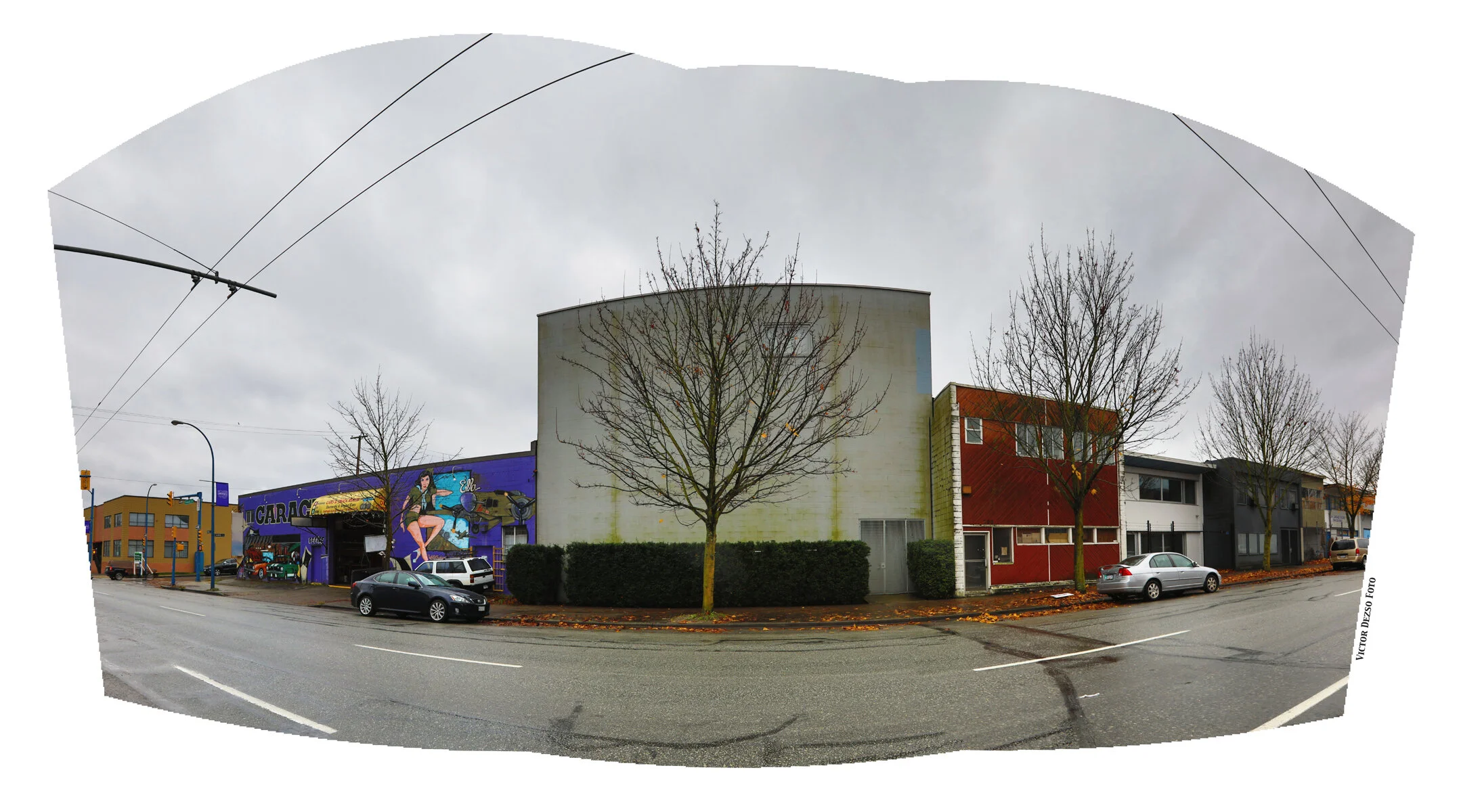 790 Powell Tree_Nov 18_2017_HDR_Pan_B0247_4x8s.jpg