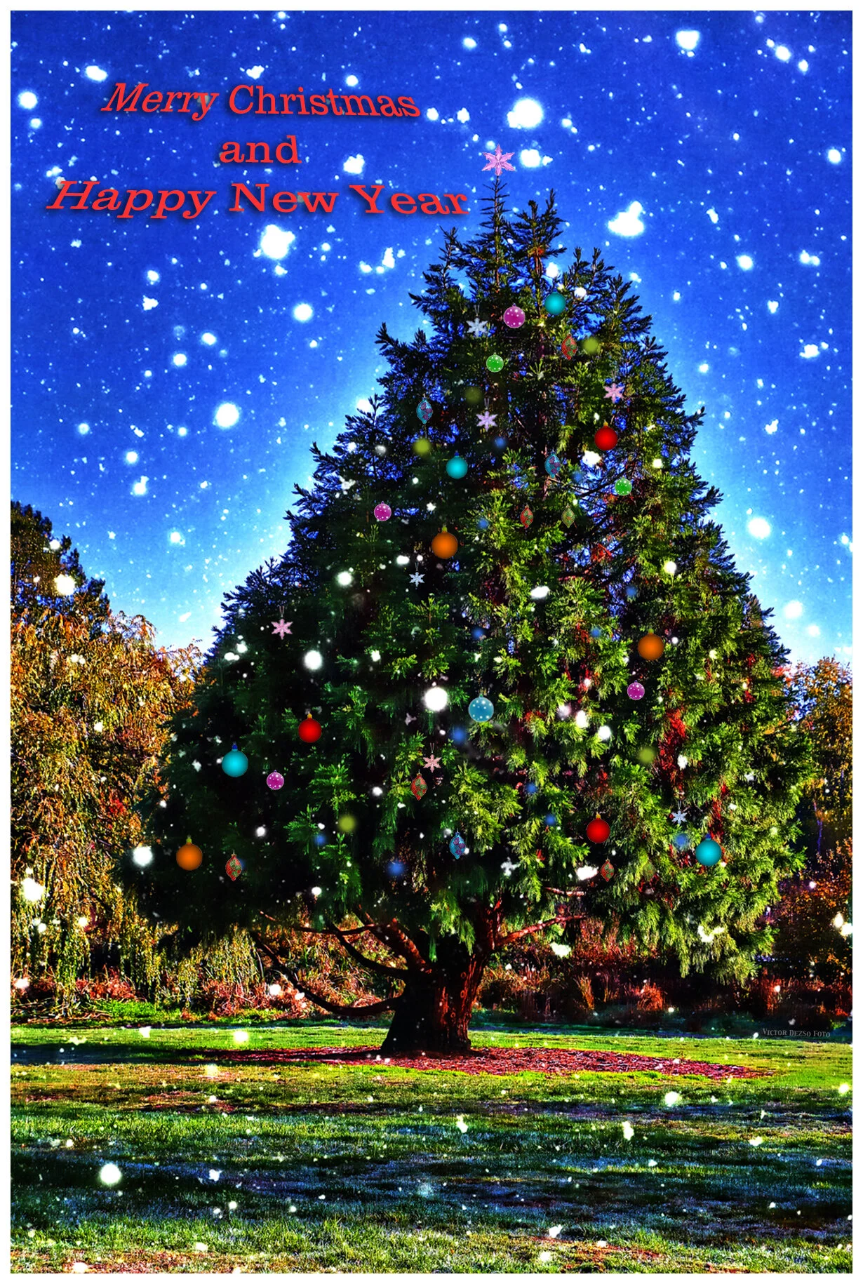 Trout Lake Tree_Oct 27_2015_HDR_H9053_peHdr2013Snowsall2Xmas2_4x6s.jpg