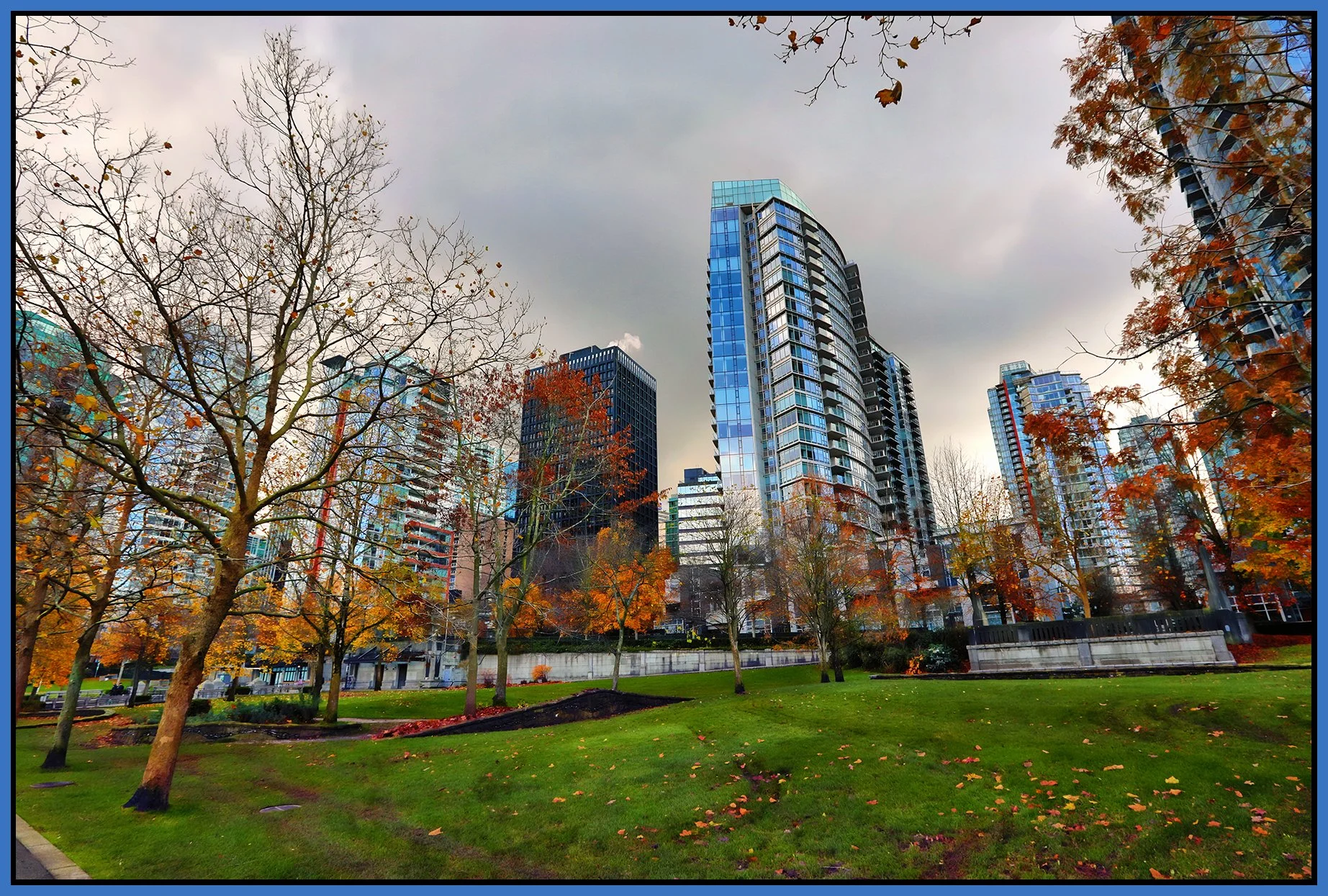Harbour Green Park Trees LkgSE_Nov 15_2024_HDR_5E5030_peShdngCntrst_Hyprstrip_4x6s.jpg