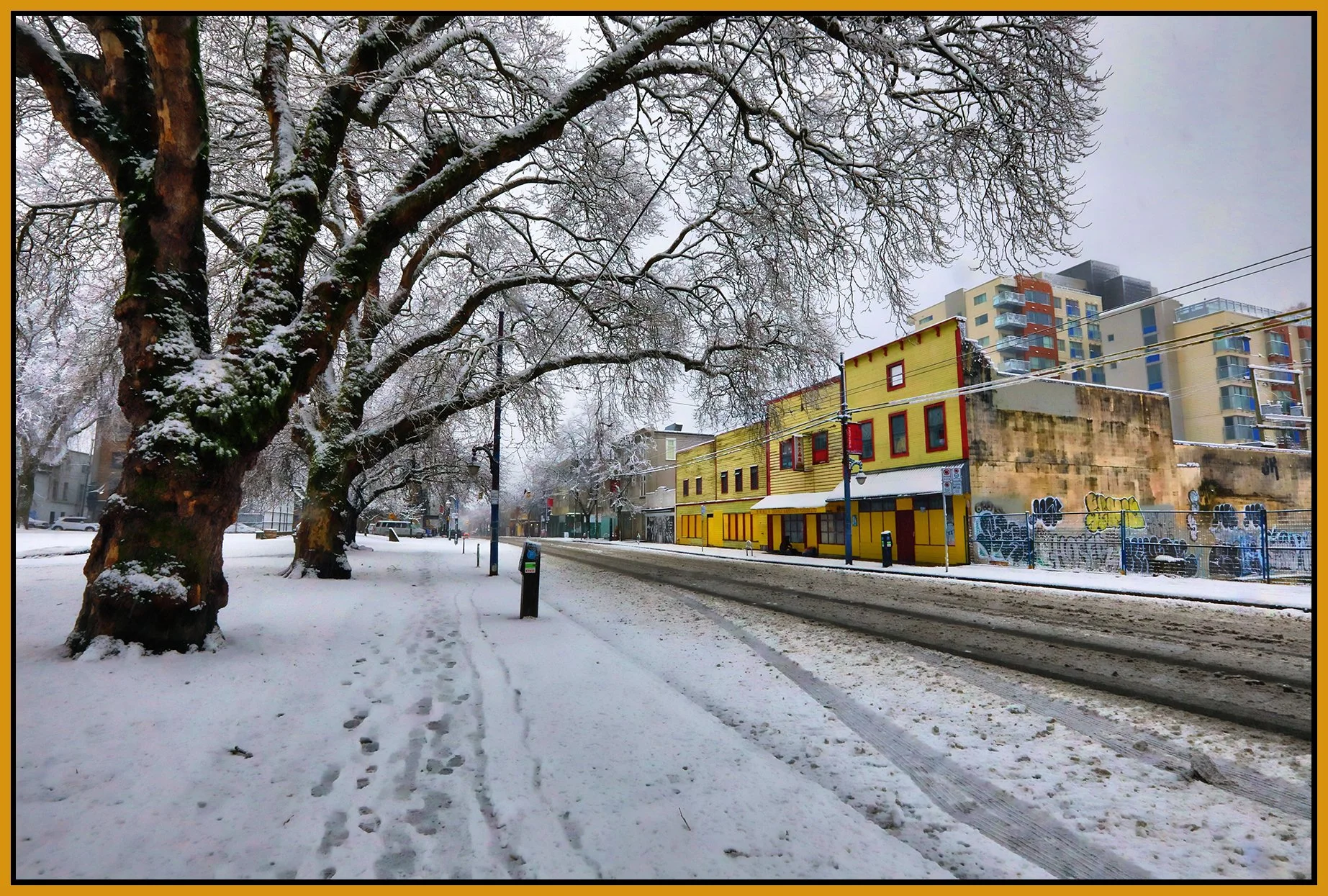 Powell Street LkgW_Feb 2_2025_HDR_5E9272_peShdngCntrst_4x6s.jpg