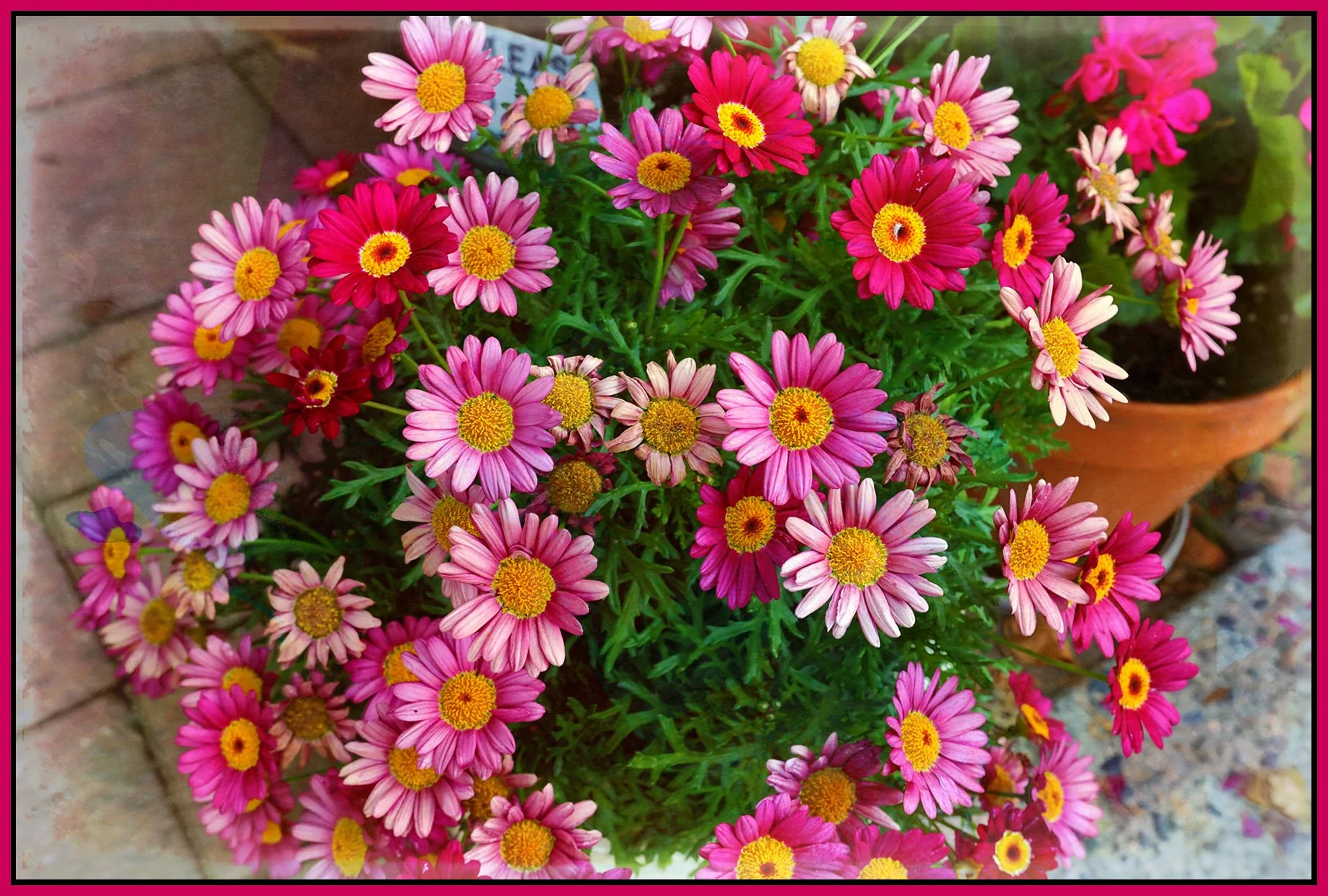 Flowers 2300 W Broadway_Aug 9_2026_HDR_4L9577_peAmazingWaterclr_4x6s.jpg