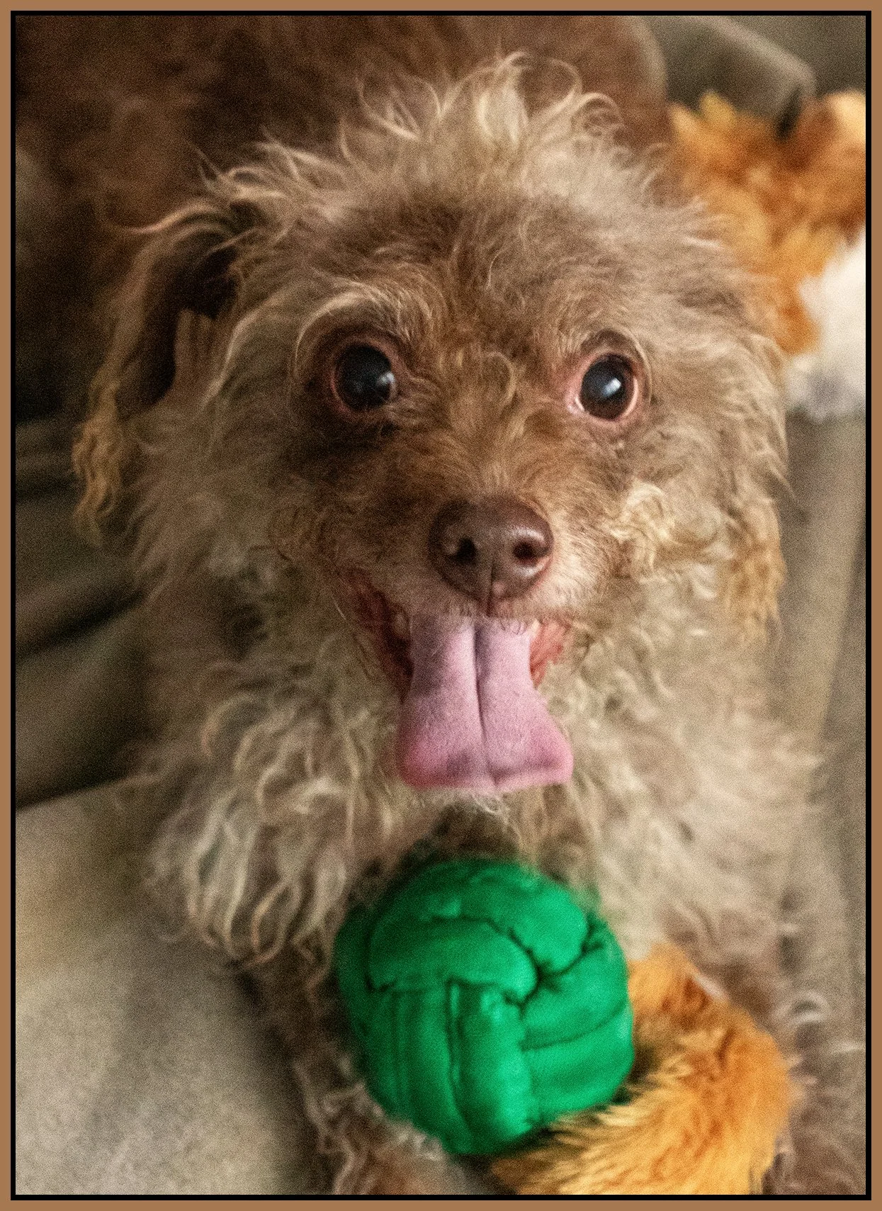 Frances_Dec 26_2024_CR2_4J4789_1_peHyprstrip_Cntrst_4x6s.jpg