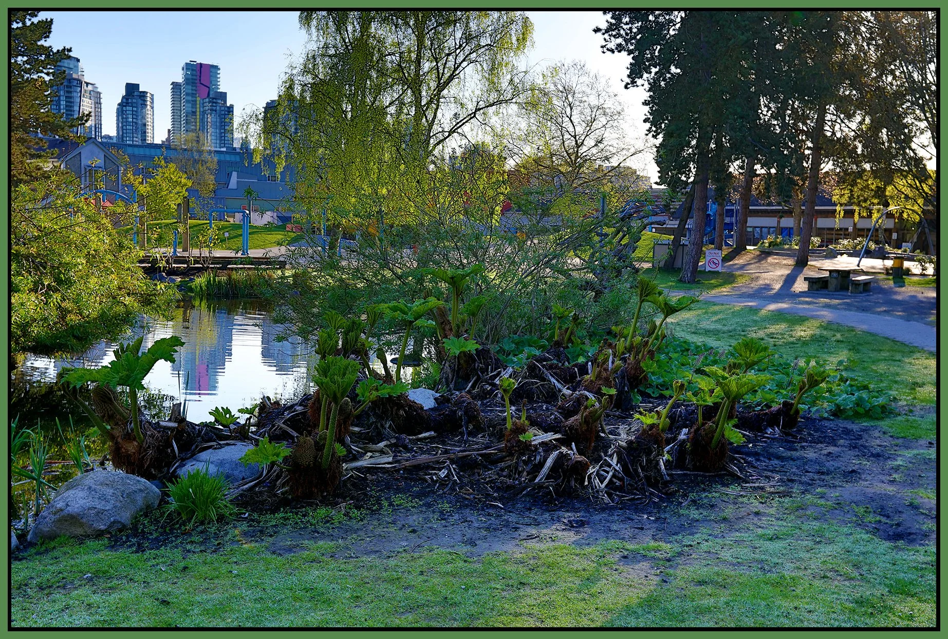 Flowers Granville Is_Apr 21_2021_HDR_5A9693_4x6s.jpg