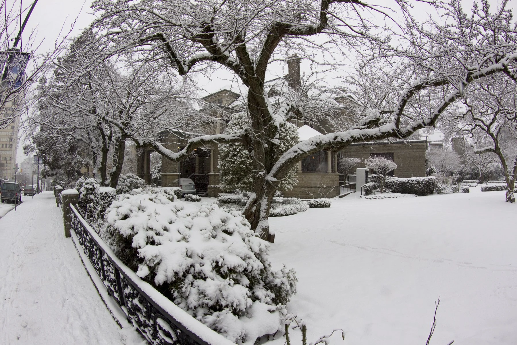 Davie St_Dec 17_08_5950_4x6.jpg