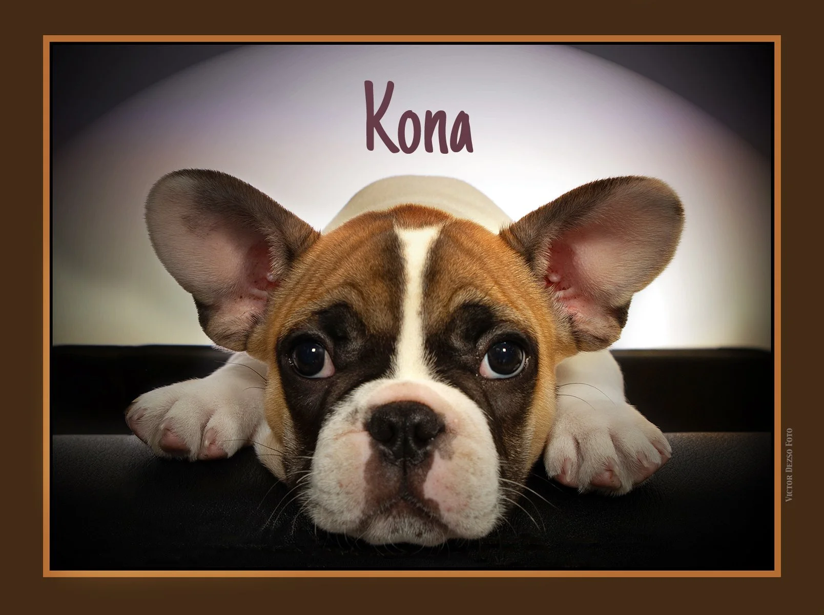 Kona_Sep 11_2021_CR2_5A2218_peSLC_Intnse_4x5.5ss2.jpg