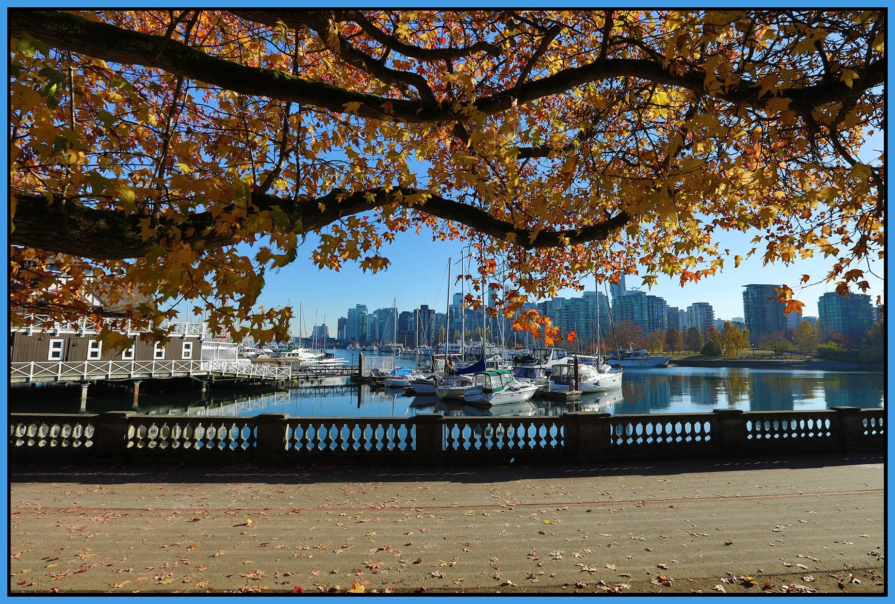 Stanley Park Coal Harbour LkgSE_Nov 18_2022_HDR_5C6814_4x6s.jpg