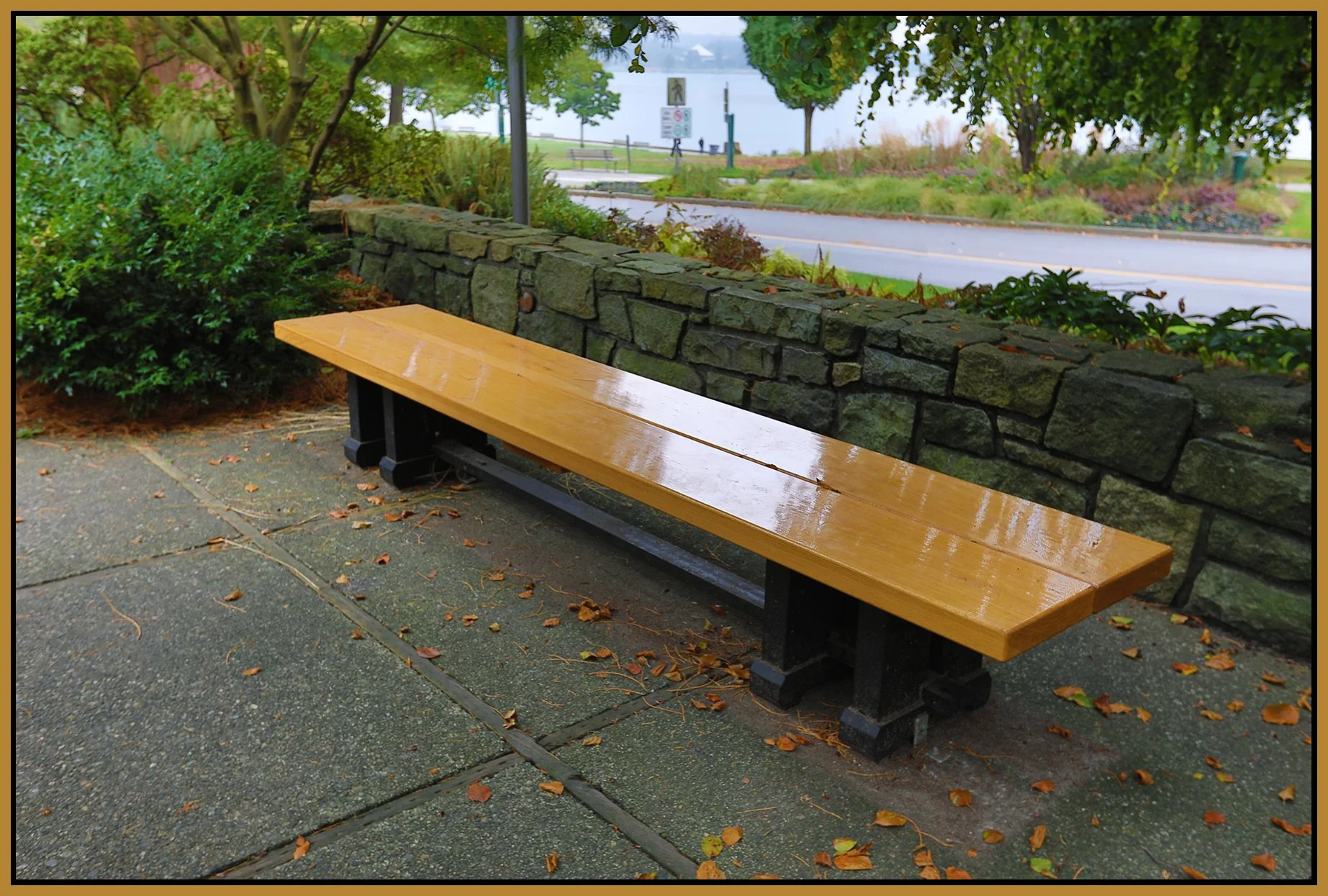 Bench in Stanley Pk_Oct 5_2020_HDR_4G6935_4x6s.jpg