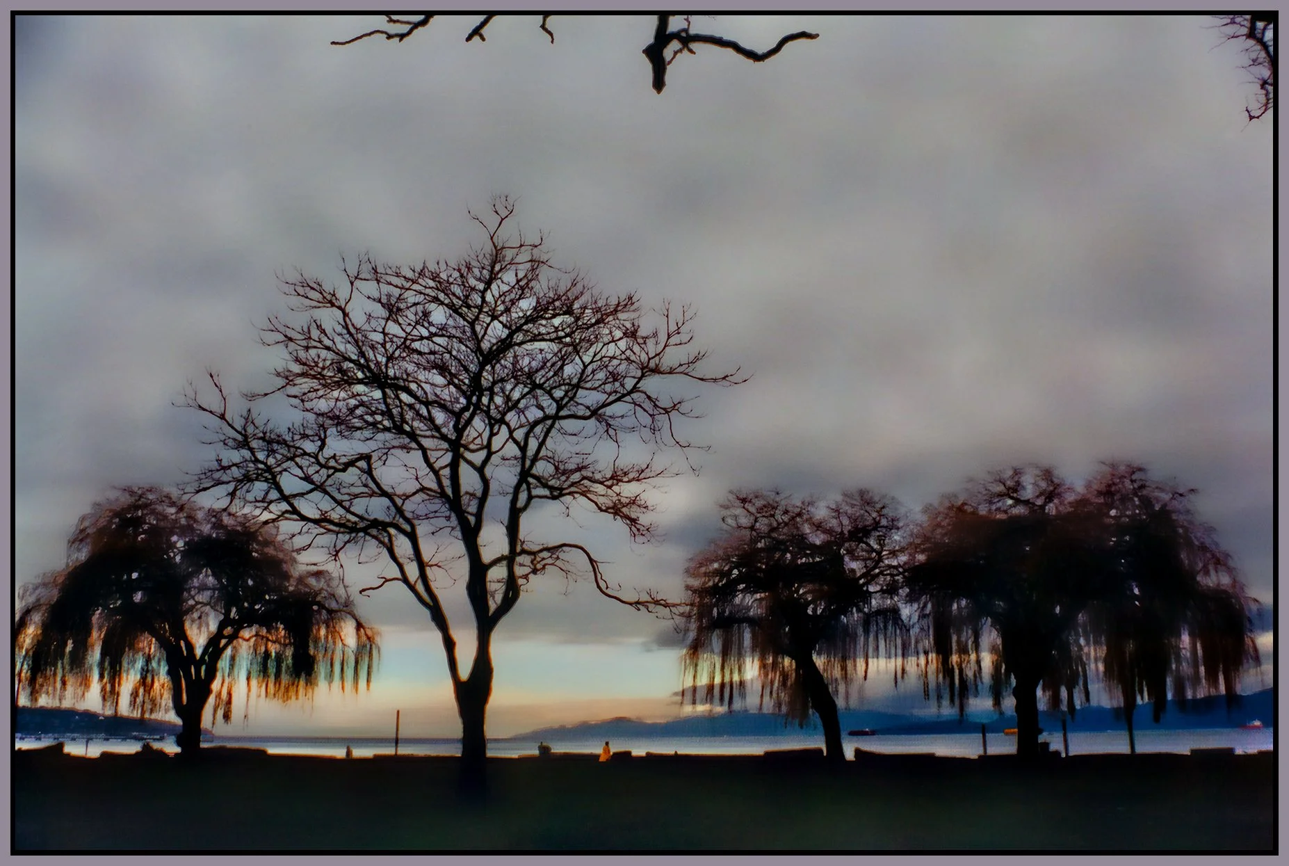 Kits Beach Trees_8999_peHdr2013_1_4x6s.jpg