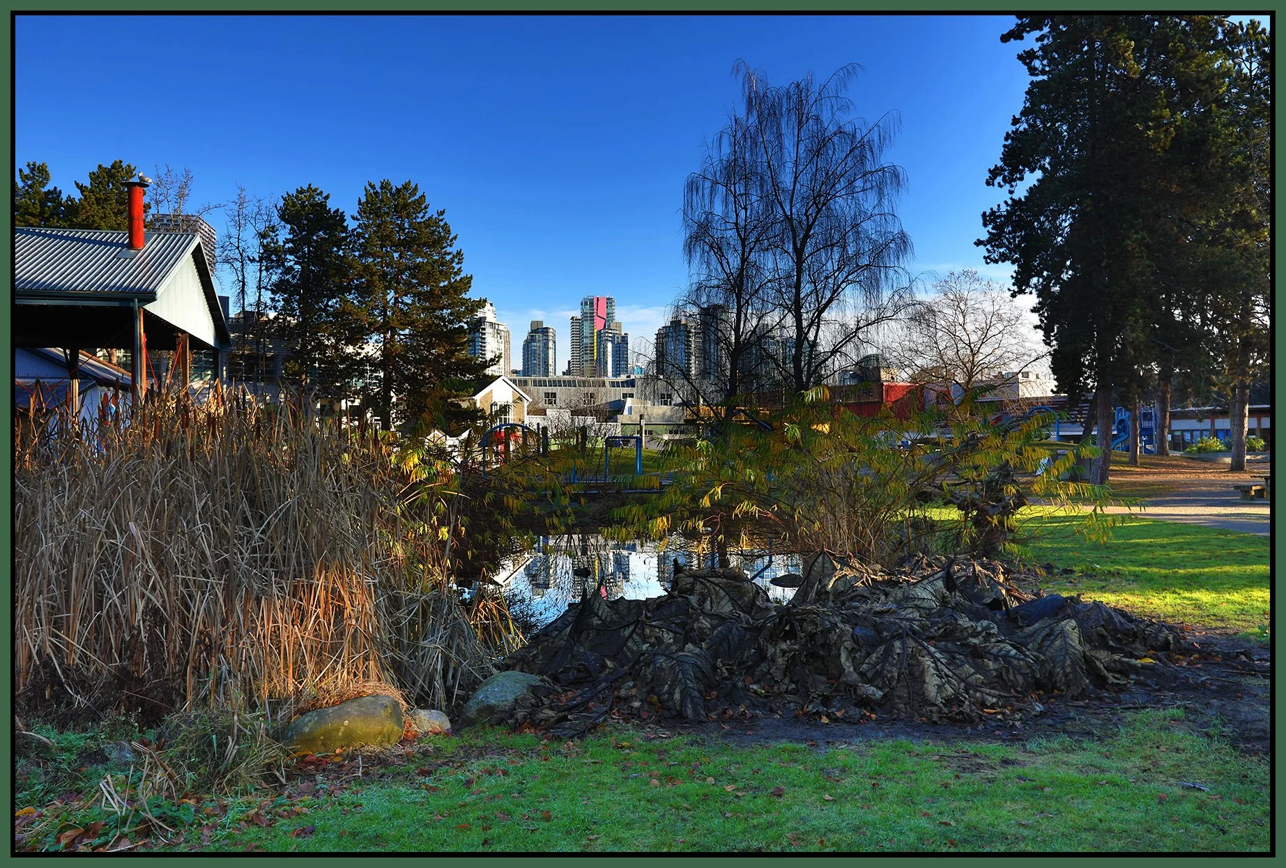 Granville Island Plants_Dec 4_2020_HDR_4G9036_4x6s.jpg