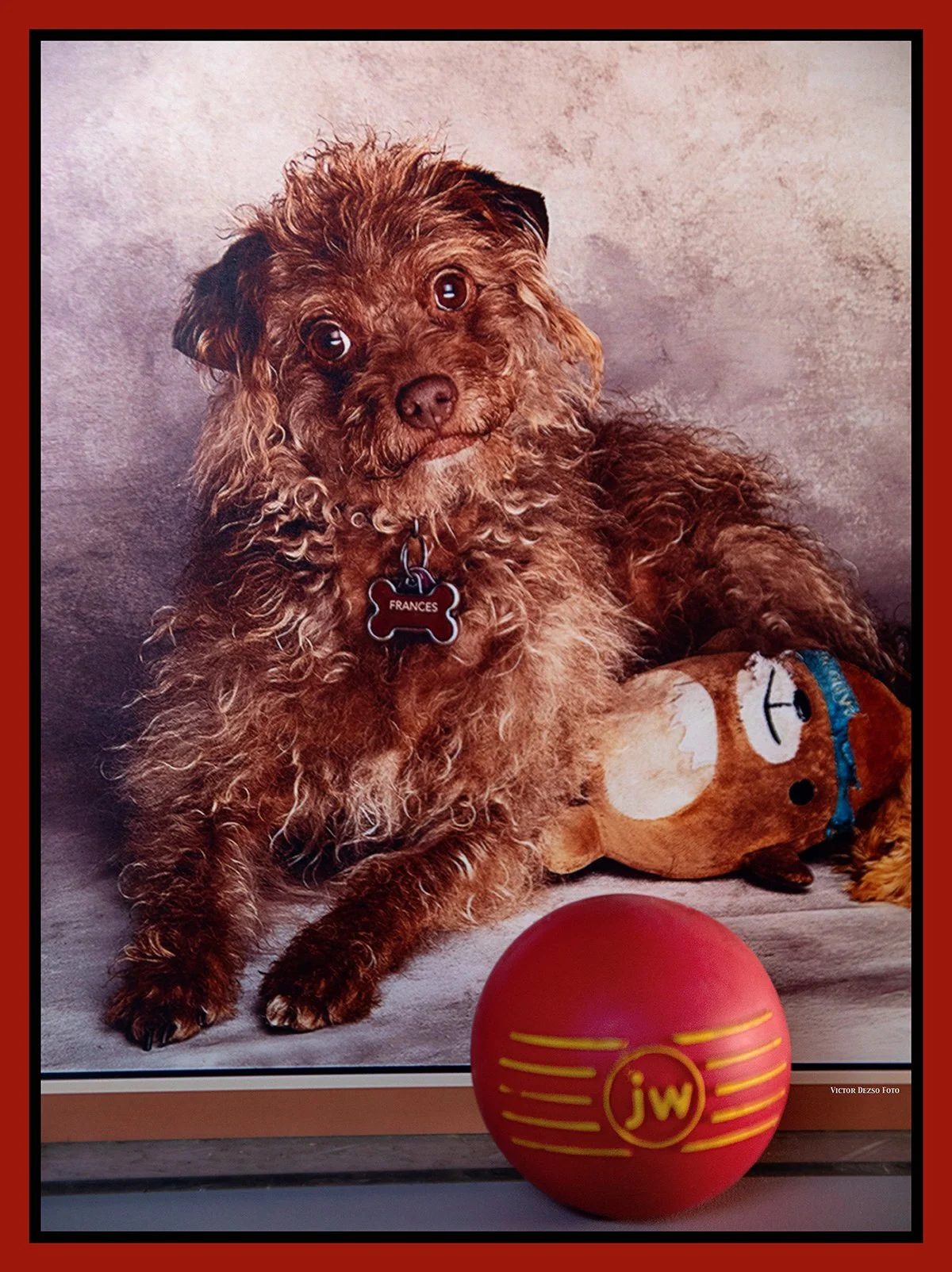 Frances with JW Red Ball_Nov 17_2022_CR2_4H9179_peVbr_4x5.jpg