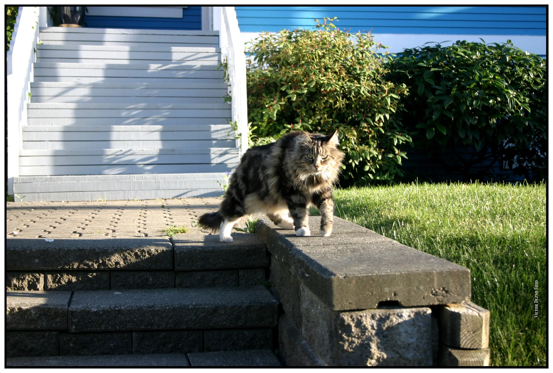E 20th Cat_5762_4x6s.jpg