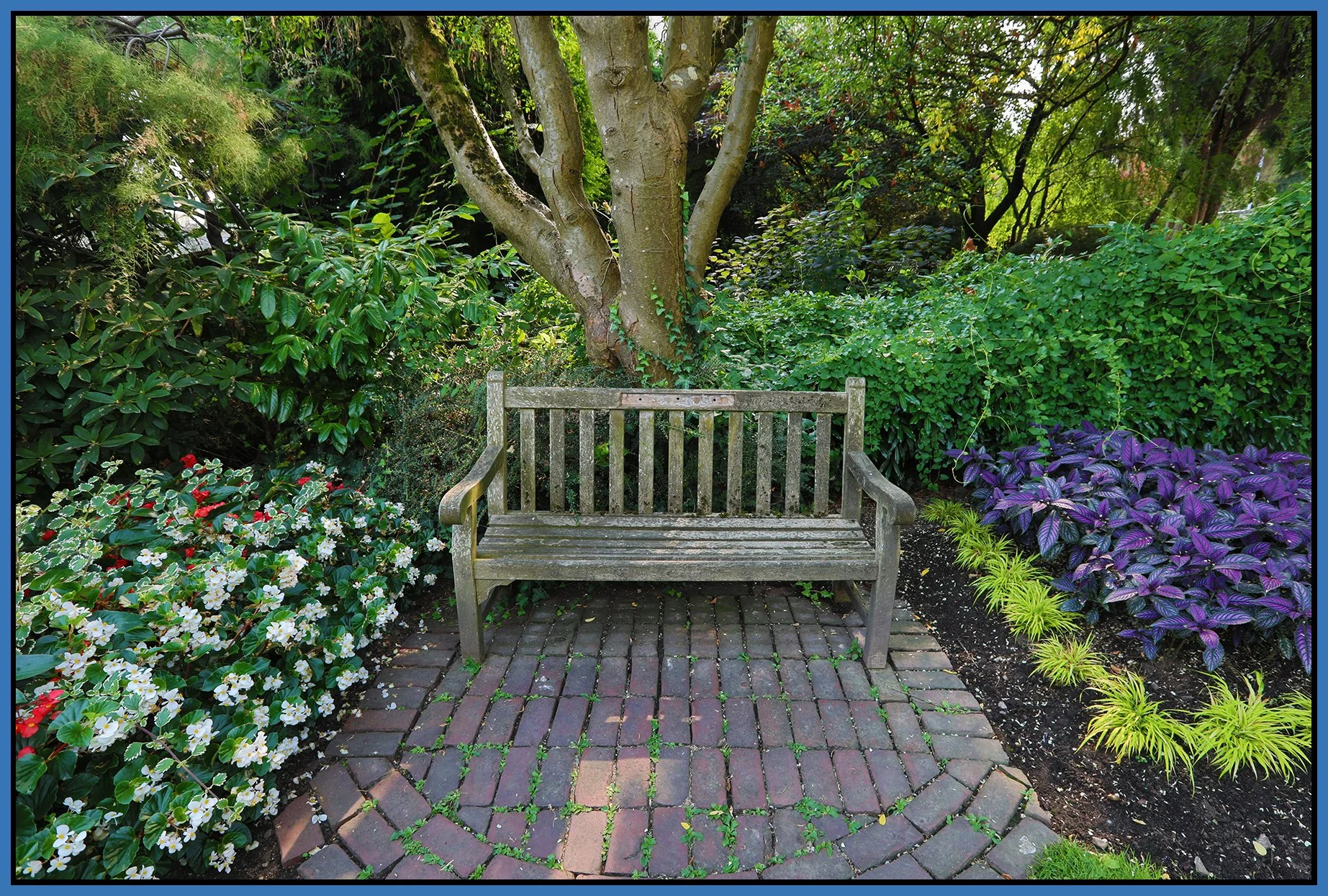 Bench in New West_Aug 12_2018_HDR_D1823_4x6s.jpg