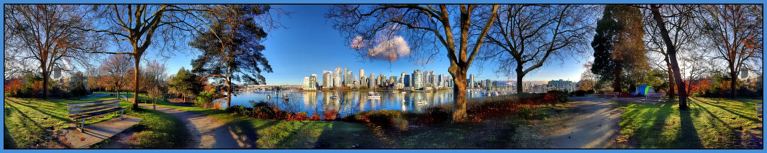 False Creek Trees 360 Vancouver_Dec 8_2023_HDR_Pan_5E2188_1_pehdr2013_1_4x21s.jpg