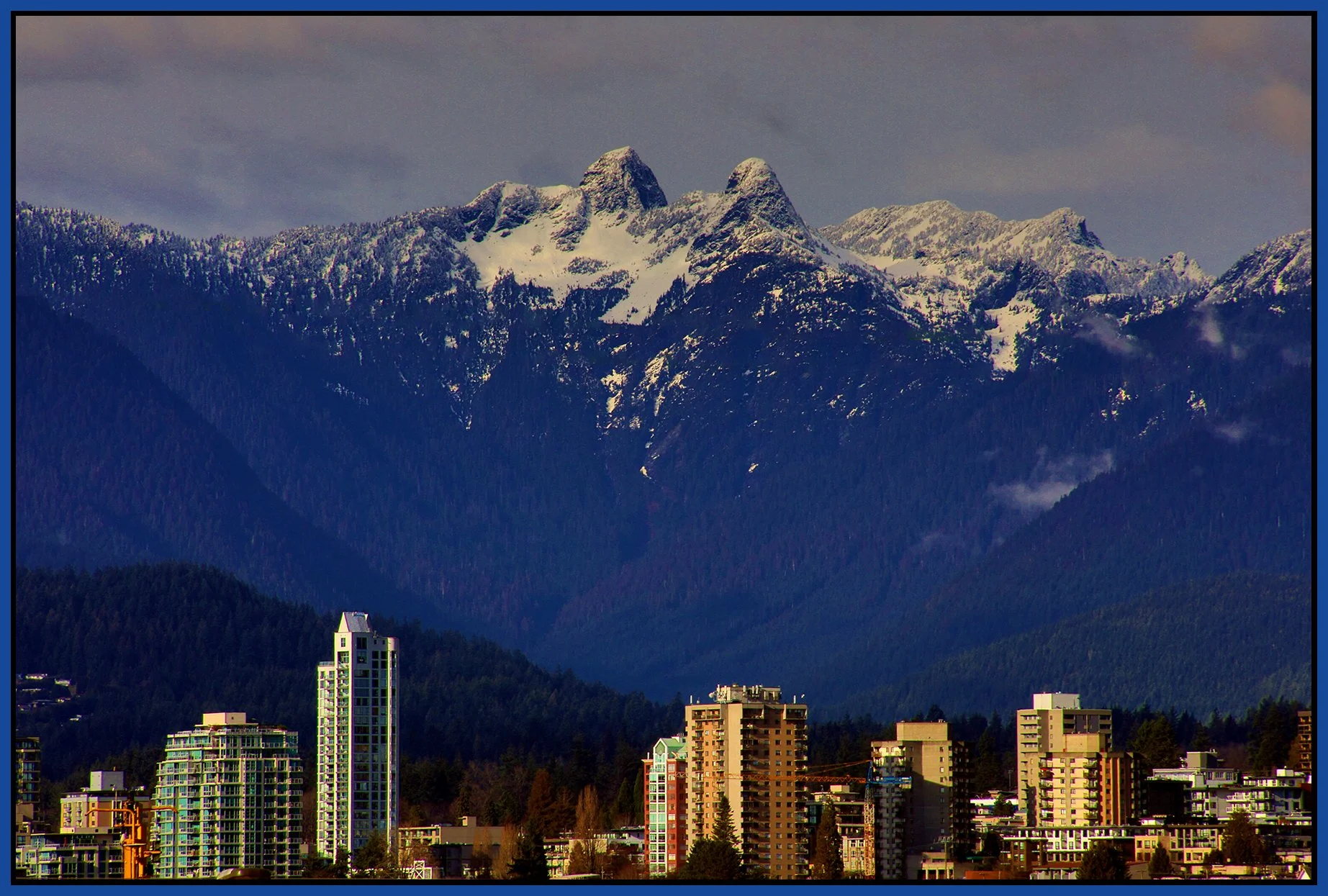 Lions from Wall St Park_Feb 4_2024_HDR_5E3848_peVibr_4x6s.jpg