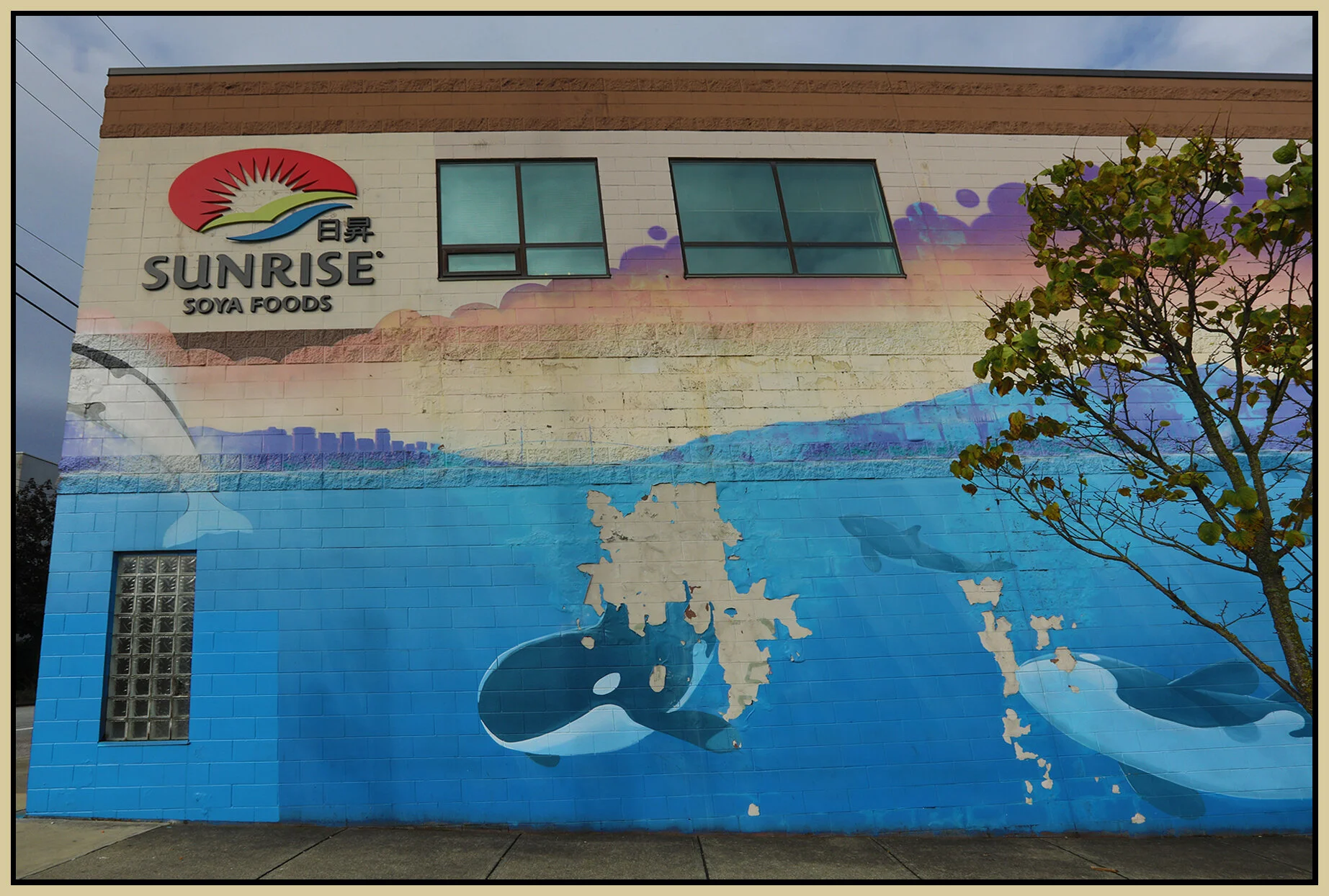 789 Powell St Sunrise Mural_Oct 10_2020_HDR_4G7735_4x6_1s.jpg
