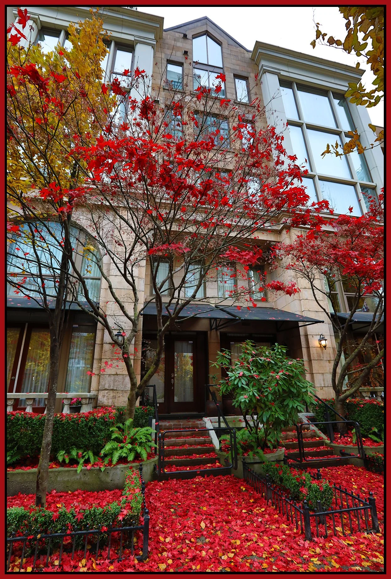 489 Drake St_Nov 25_2022_HDR_5C7923_4x6s.jpg