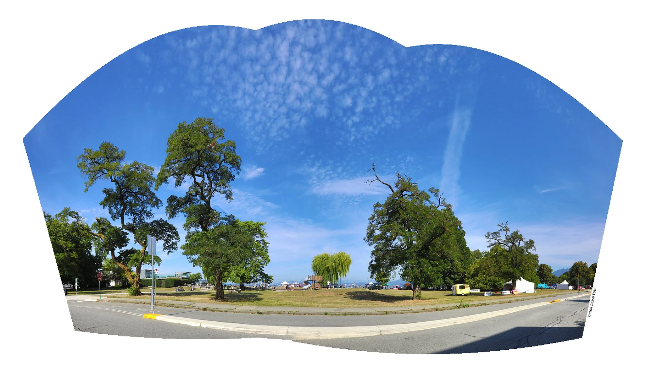 Kits Beach Trees_Aug 9_2026_HDR_Pan_4L9829_4x7.jpg