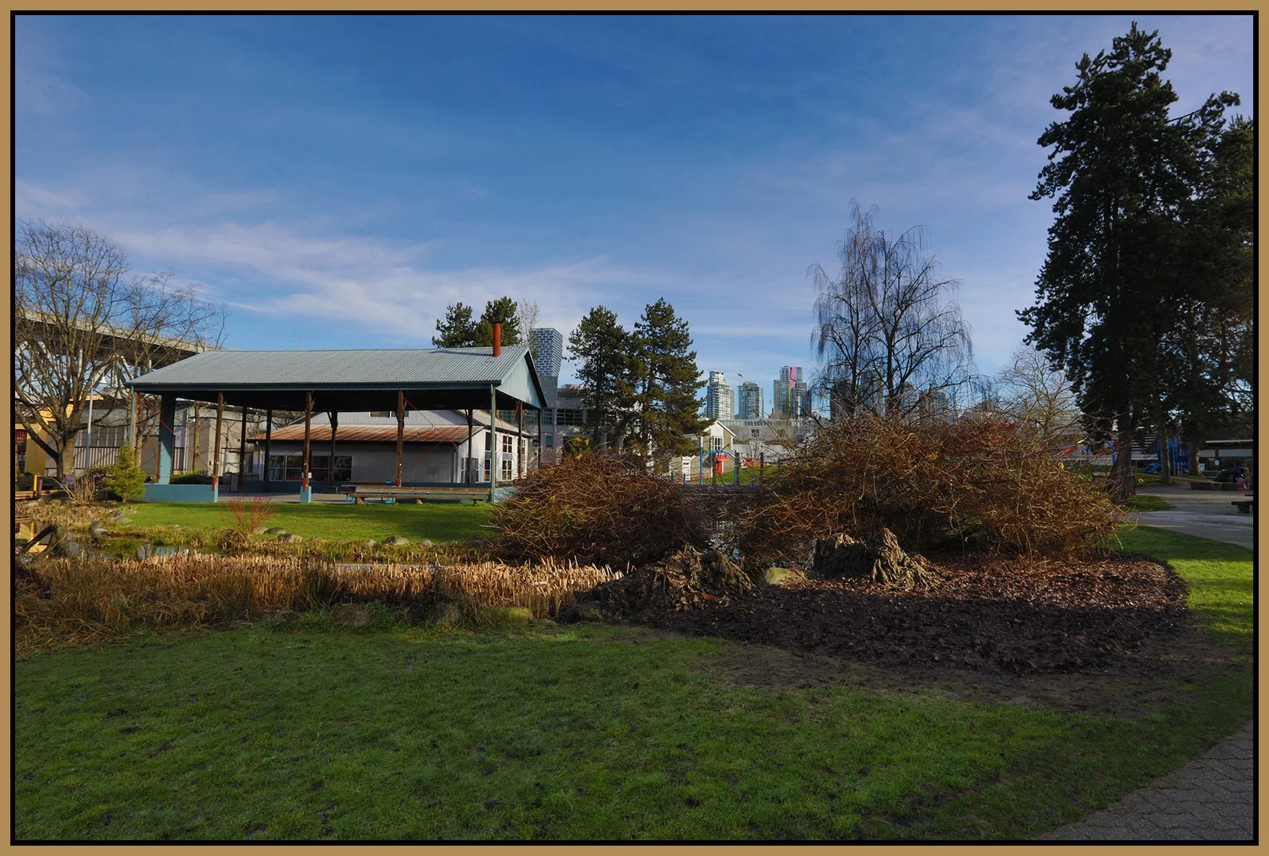 Granville Island Plants LkgN_Feb 11_2026_HDR_4K8198_4x6s.jpg