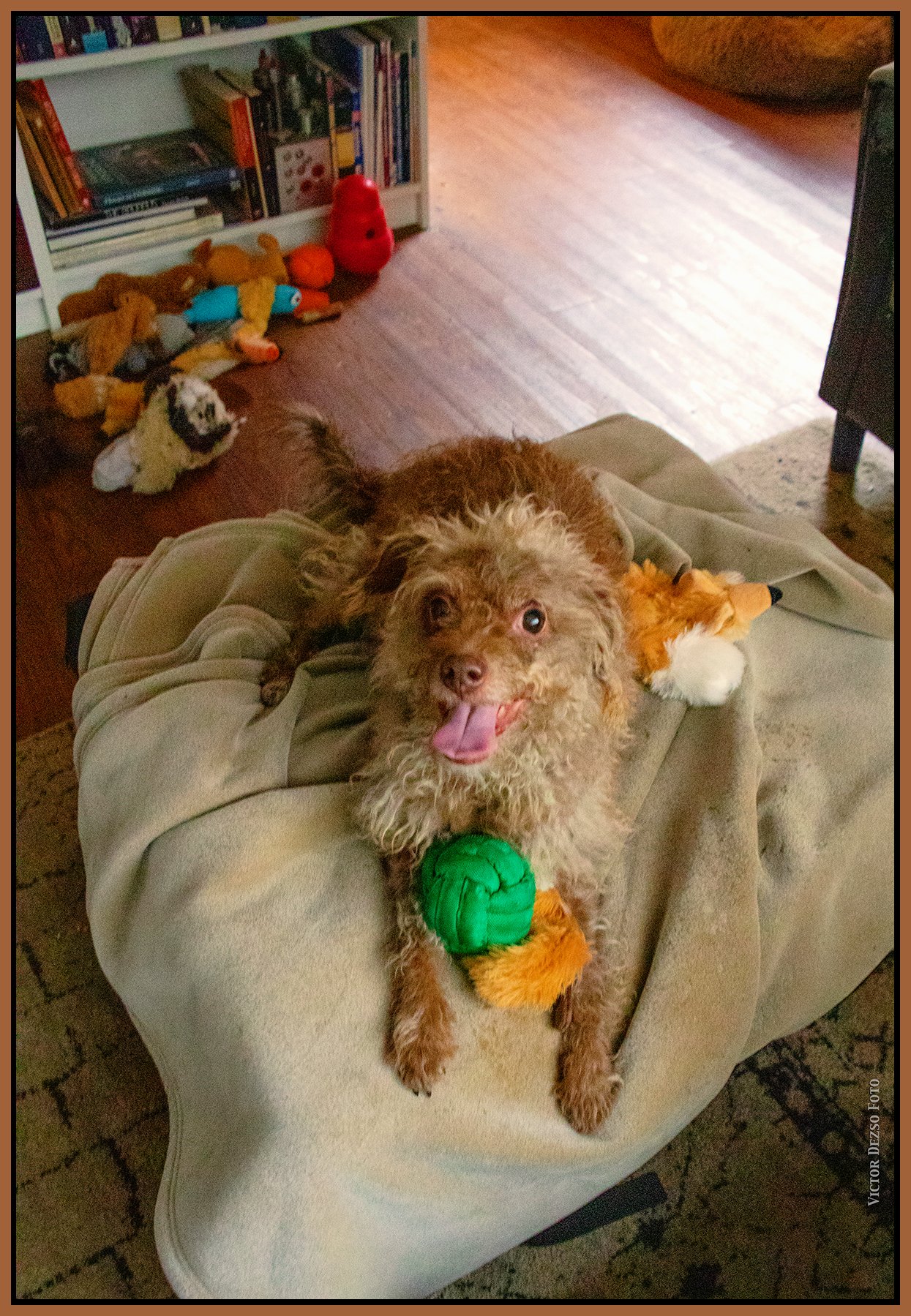 Frances_Dec 26_2024_CR2_4J4782_peHyprstrip_Pop_4x6s.jpg