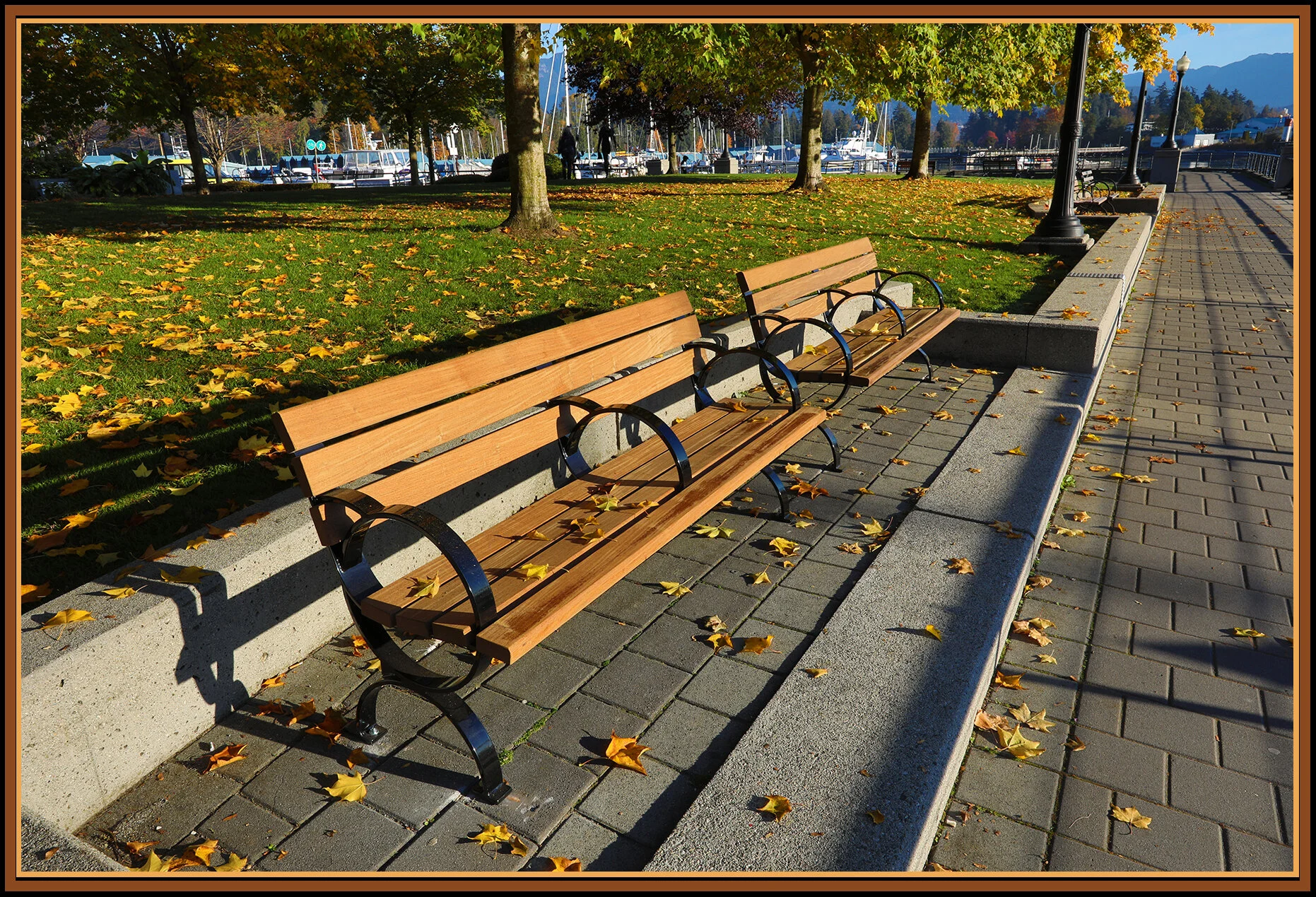 Benches Coal Harbour Vancouver_Oct 17_2018_HDR_D8704_4x6s.jpg