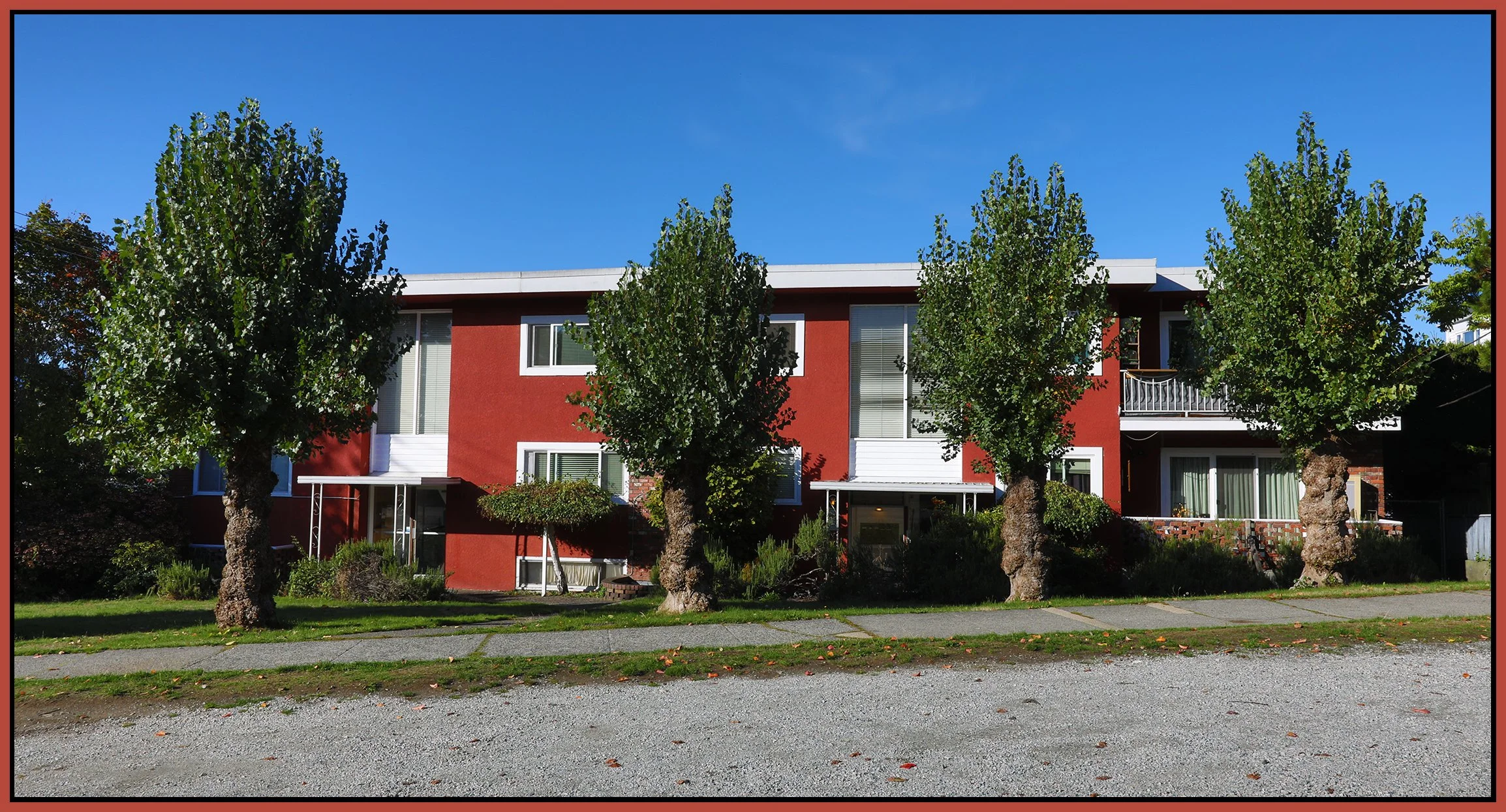 2407 Wall St Trees_Oct 11_2023_HDR_5C7536_4x8s.jpg