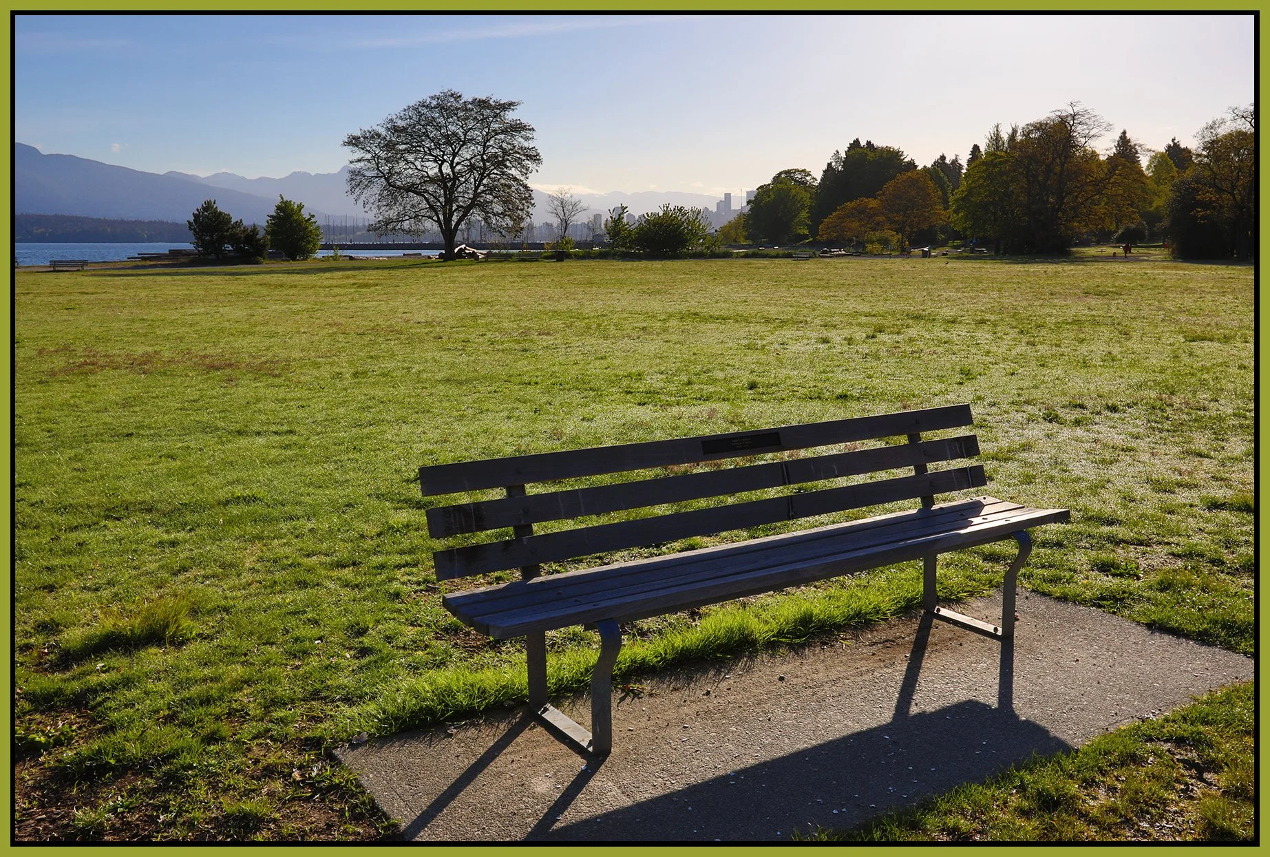 Bench in Jericho Beach Park_May 8_2024_HDR_4H8318_4x6s.jpg