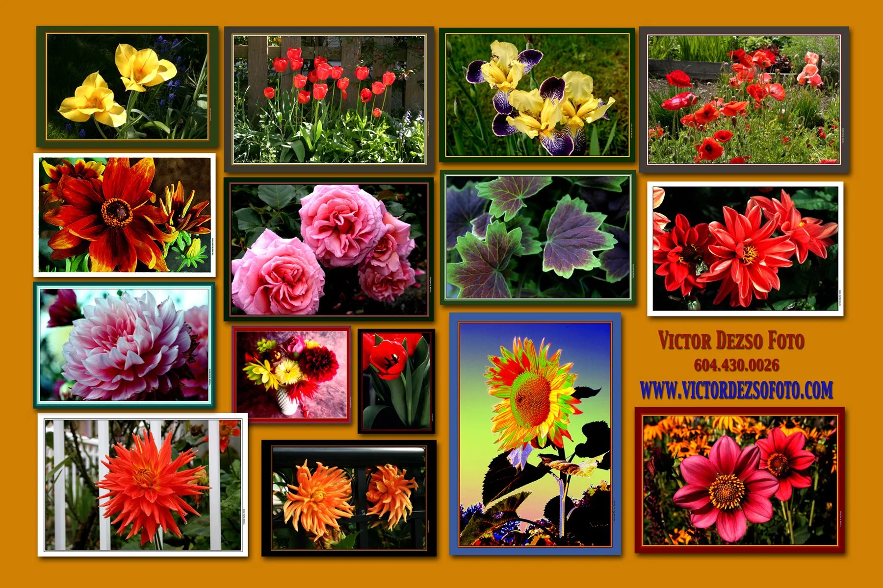 Flowers 2 Comp 2005_4x6.jpg