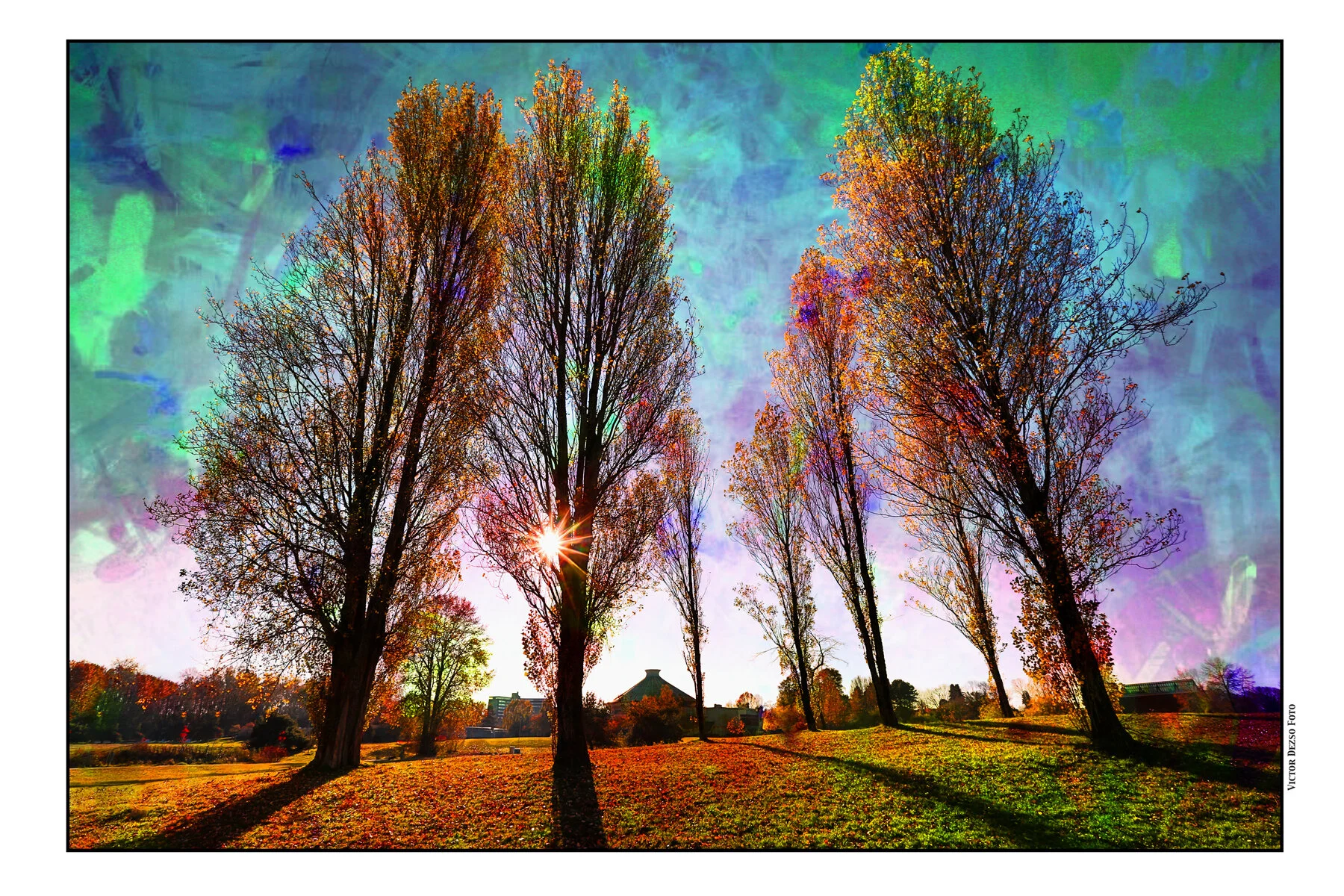 Vanier Pk Trees_Nov 15_2014_HDR_F6149_peImpress_4x6.jpg