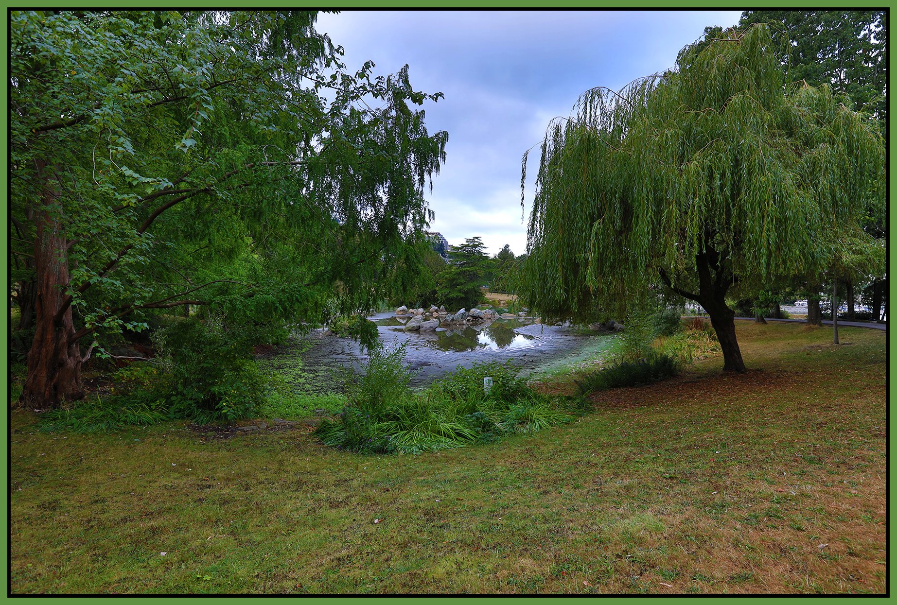 Charleson Pk Pond_Sep 5_2022_HDR_5B7103_4x6s.jpg