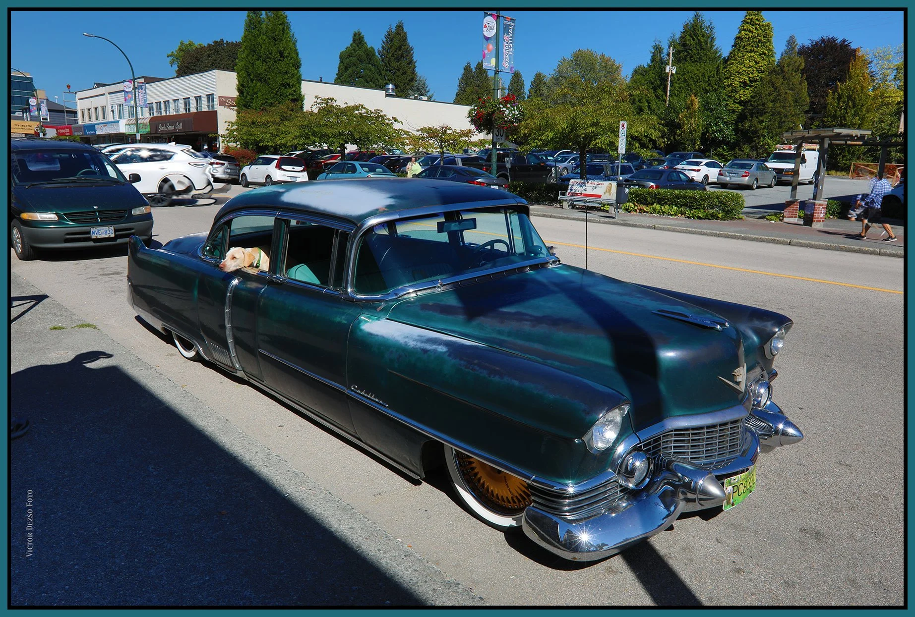 Cadillac 1955_Sep 14_2023_HDR_4H8444_4x6s.jpg