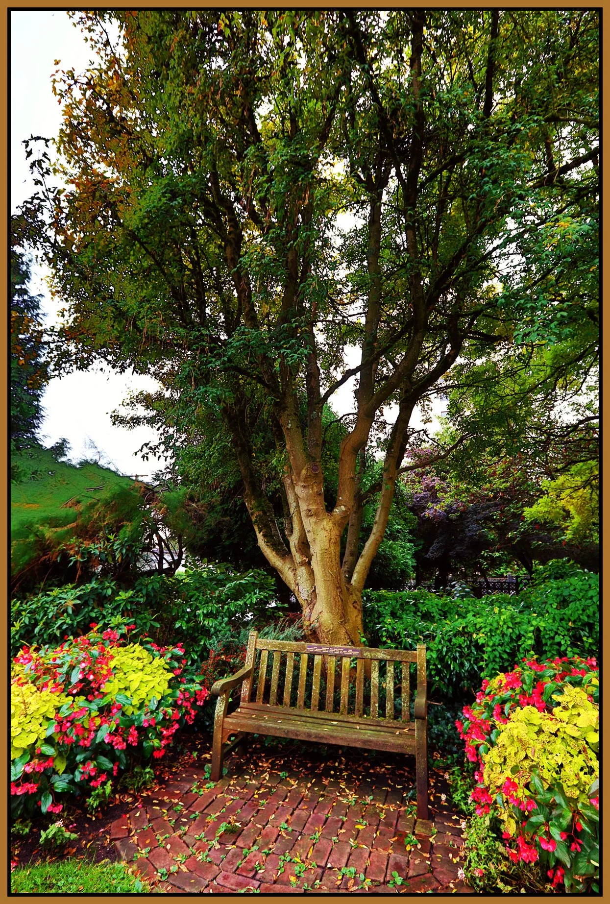 Bench in New West_Oct 16_2017_HDR_B1473_peEnhncSunst_4x6s.jpg