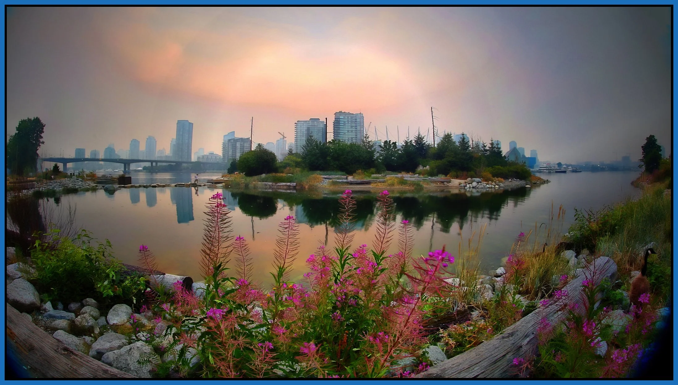 3.6 View_Jul 5_2015_HDR_G8825_peIntShad_1_4x7s.jpg